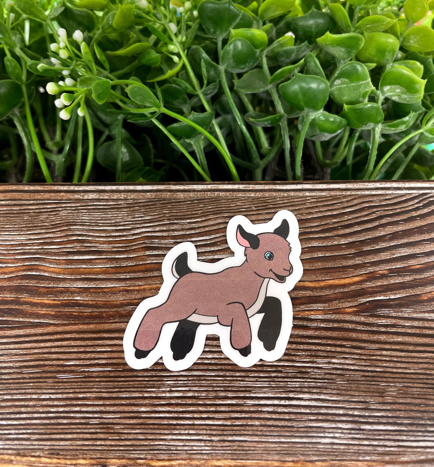 Brown Baby Goat Sticker, Goat Playing, Die Cut Vinyl Sticker |Sticker or Magnet