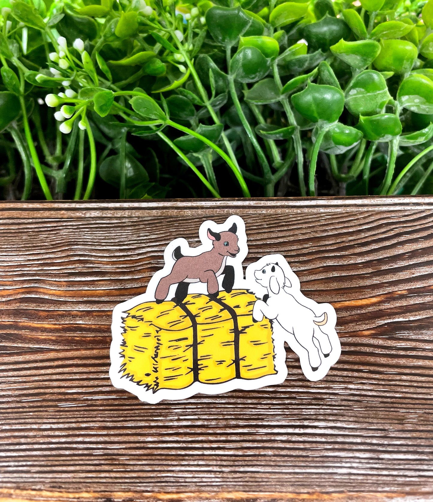 Baby Goats Sticker, Playing on Hay Bale, Die Cut Vinyl Sticker |Sticker or Magnet