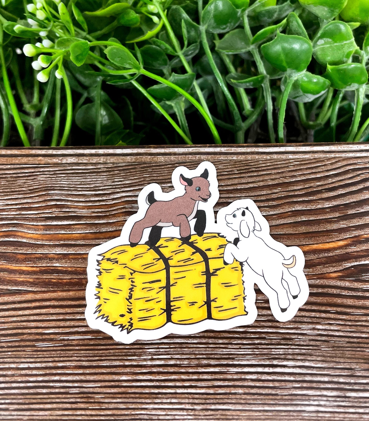 Baby Goats Sticker, Playing on Hay Bale, Die Cut Vinyl Sticker |Sticker or Magnet