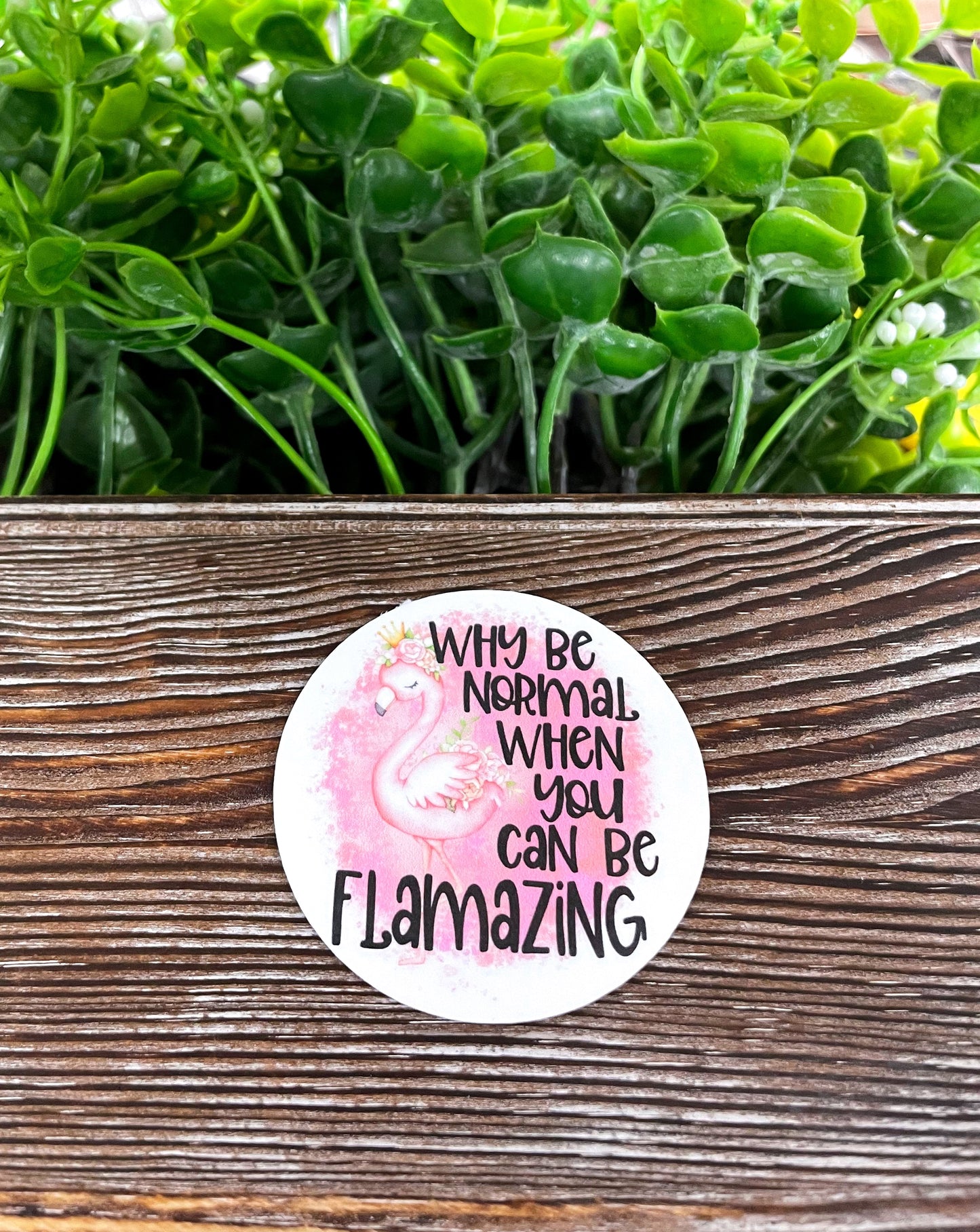 Why be Normal When you can be Flamazing Flamingo, Die Cut Vinyl Sticker, , Boho Fun, Water Resistant |Sticker or Magnet