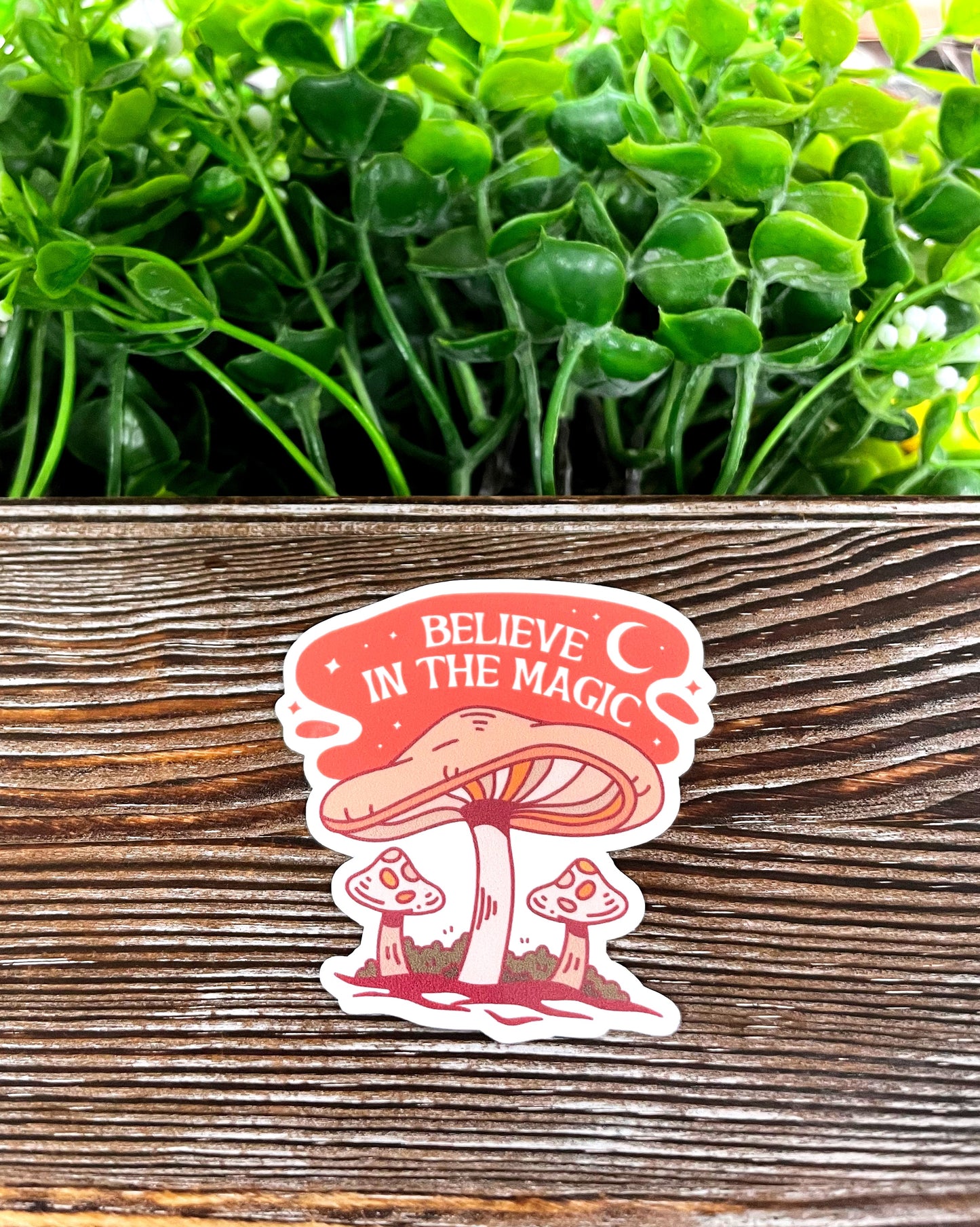Believe in the Magic Mushroom Sticker |Sticker or Magnet