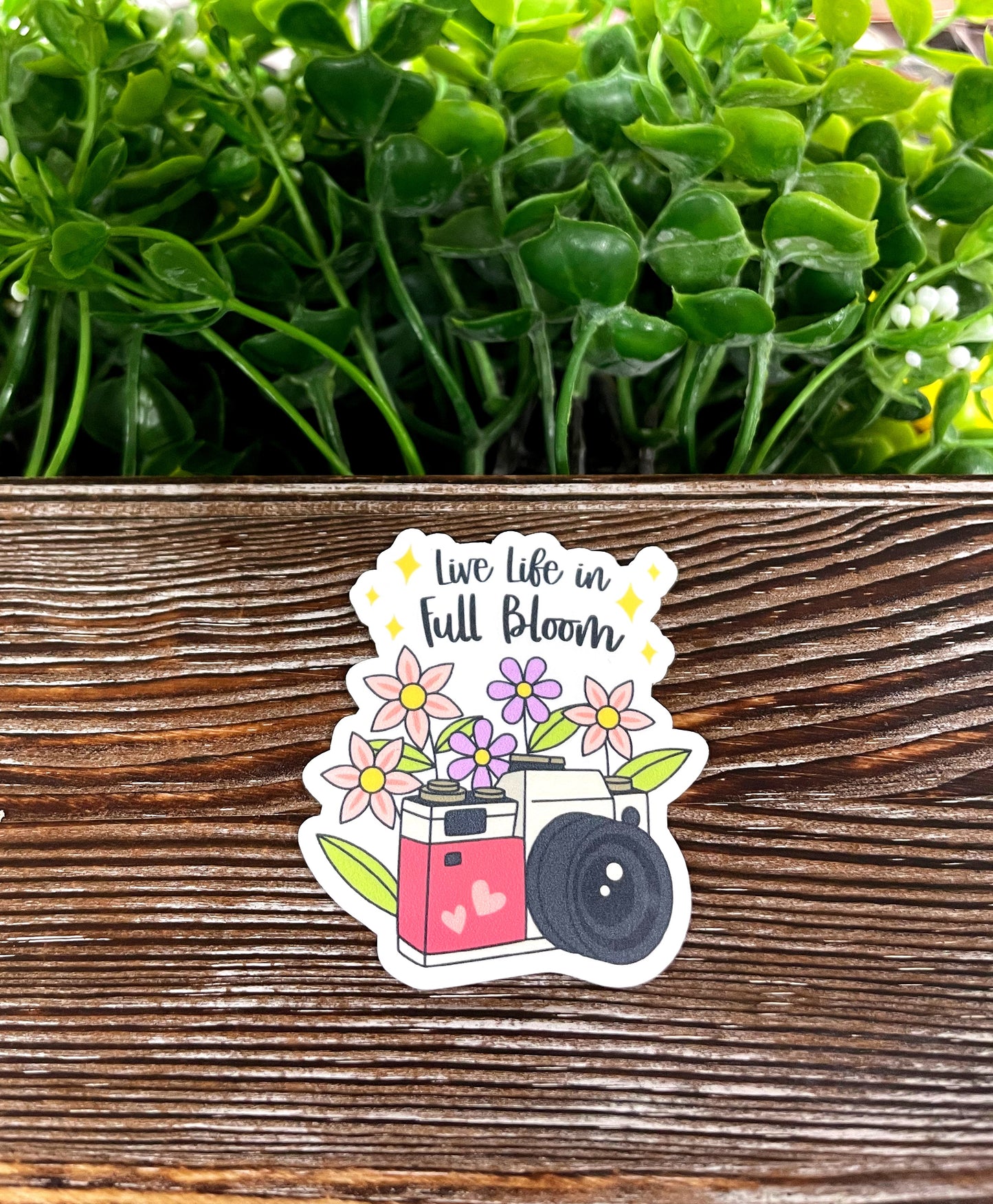 Live Life in Full Bloom, Die Cut Vinyl Sticker, , Boho Fun, Water Resistant |Sticker or Magnet