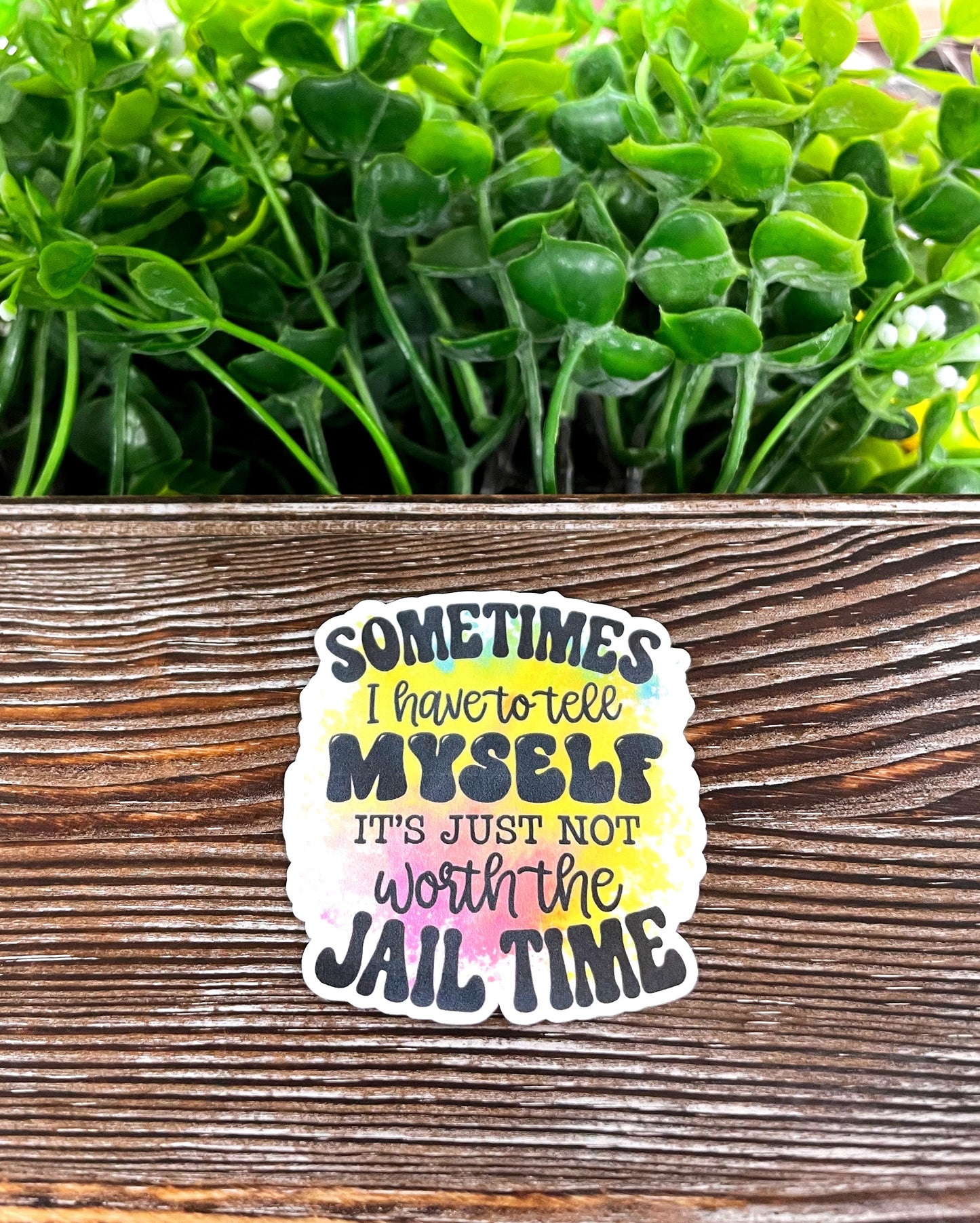 Not Worth the Jail Time, Die Cut Vinyl Sticker, Boho Fun, Water Resistant, Sarcasm Adult Humor |Sticker or Magnet