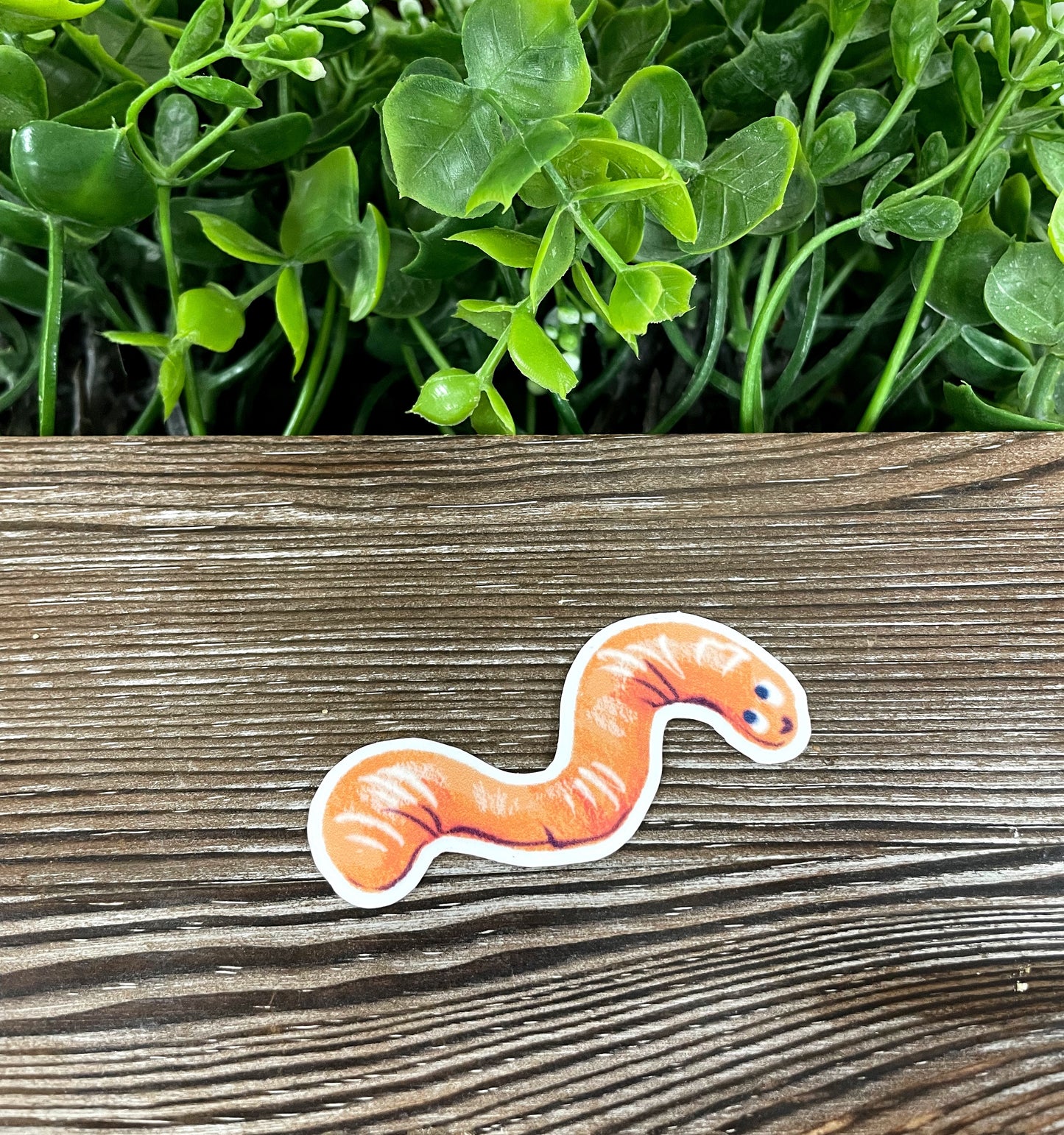 Watercolor Drawn Worm, Die Cut Vinyl Sticker, Boho Fun, Water Resistant, Halloween Spooky, Creepy Crawly |Sticker or Magnet