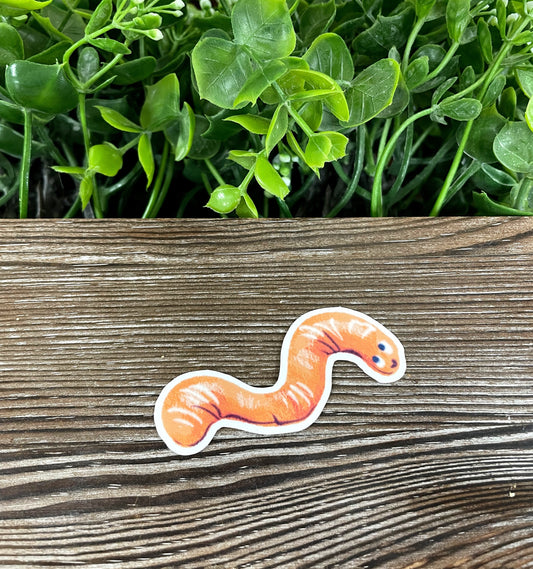 Watercolor Drawn Worm, Die Cut Vinyl Sticker, Boho Fun, Water Resistant, Halloween Spooky, Creepy Crawly |Sticker or Magnet
