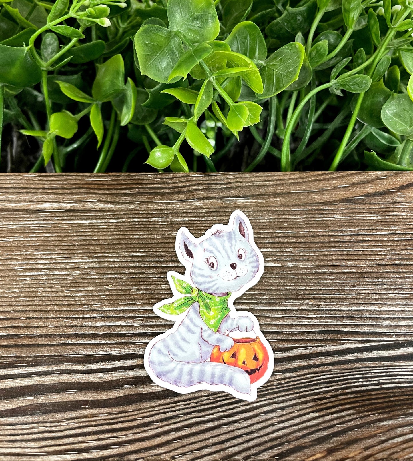 Cute Gray Cat w Pumpkin Basket, Die Cut Vinyl Sticker, Boho Fun, Water Resistant, Halloween Spooky |Sticker or Magnet