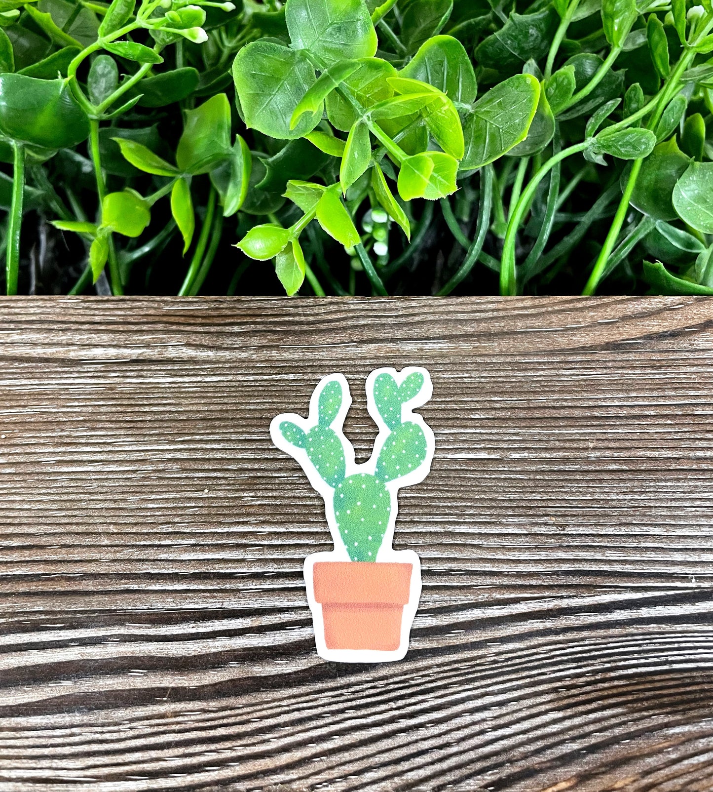 Cactus Plant in a Pot, Die Cut Vinyl Sticker, Boho Fun, Water Resistant, Aloe Vera Succulents |Sticker or Magnet