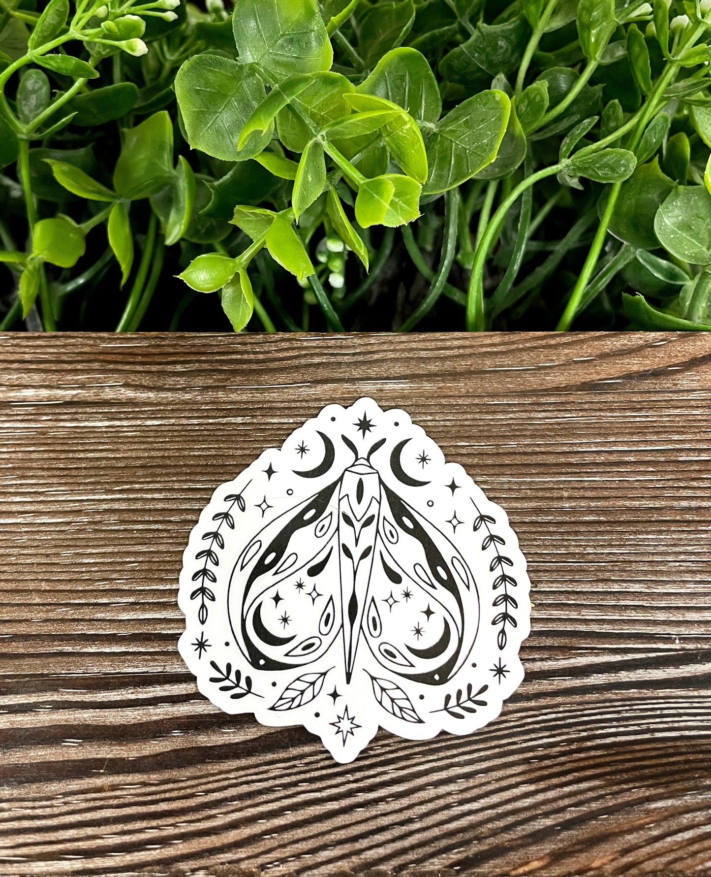 Lunar Moth Crescent Moon Sticker |Sticker or Magnet