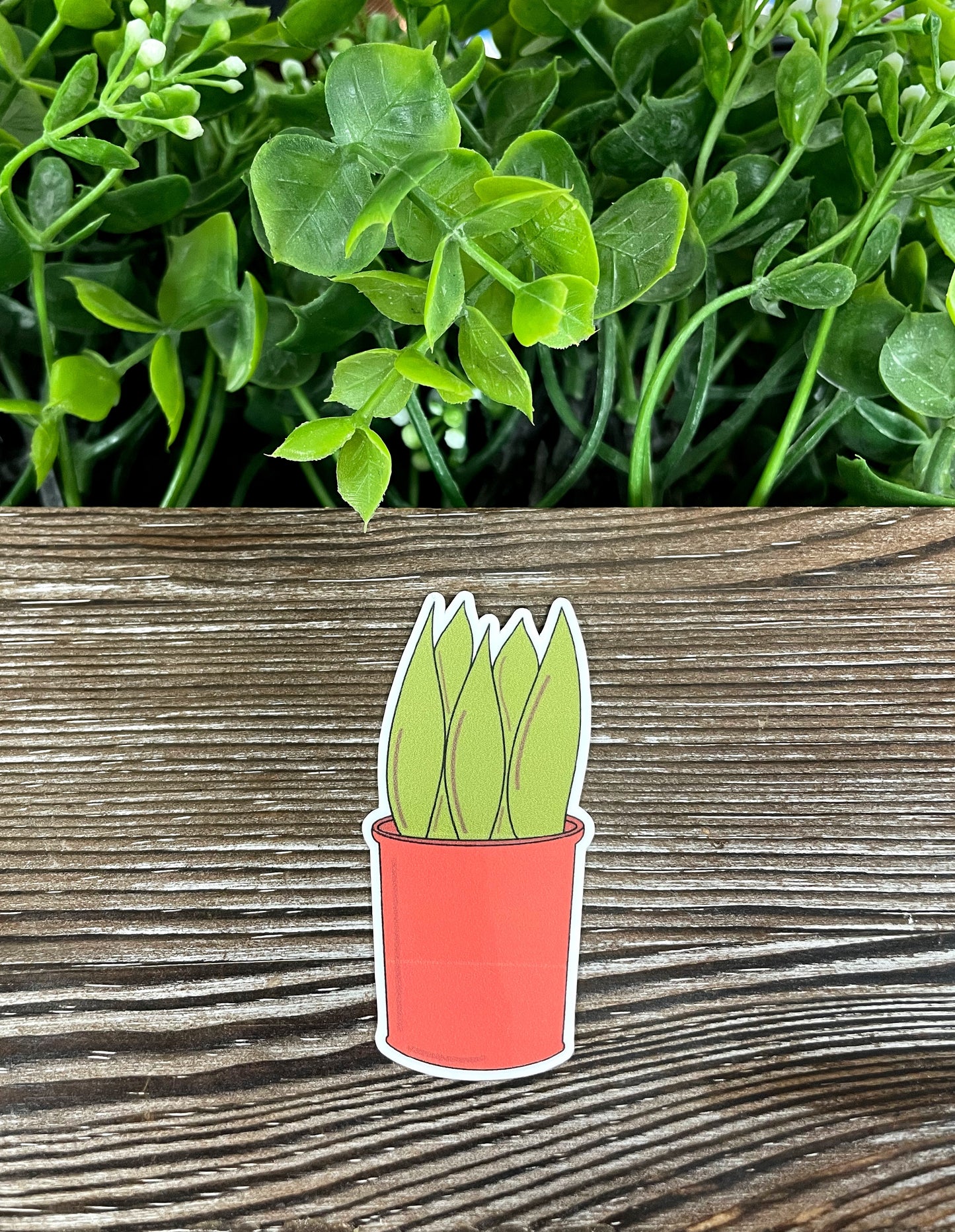 Plants in a Red Pot, Die Cut Vinyl Sticker, Boho Fun, Water Resistant, Aloe Vera Succulents |Sticker or Magnet