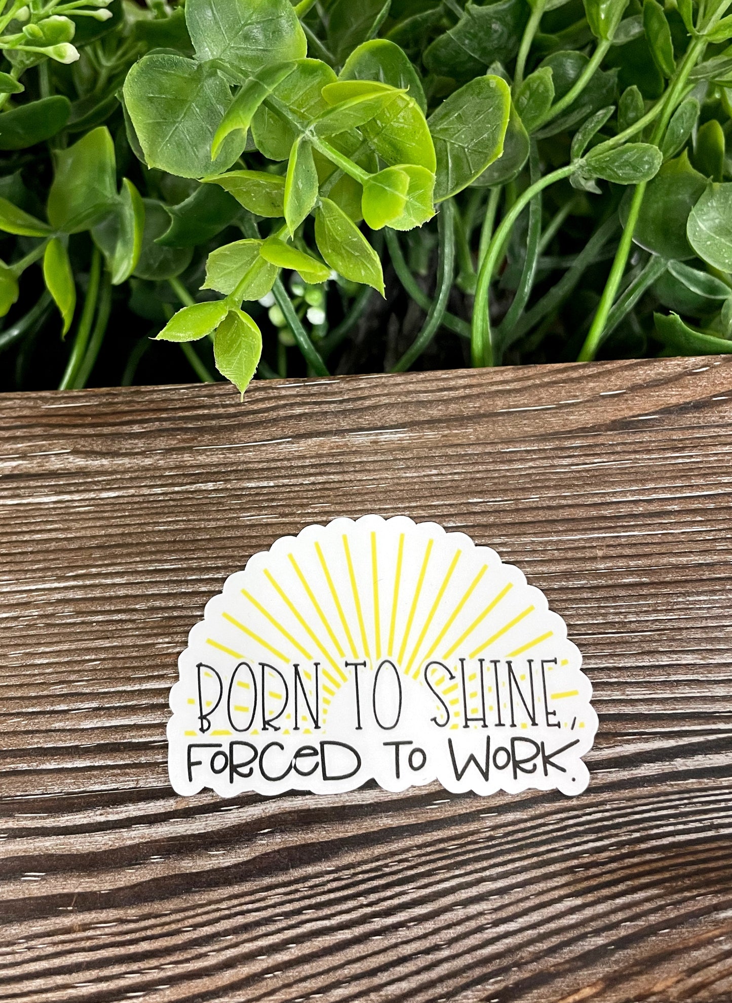 Born to Shine Forced to Work, Die Cut Vinyl Sticker, Boho Fun, Water Resistant, Snarky Sarcasm Witty Quote, Funny Saying |Sticker or Magnet