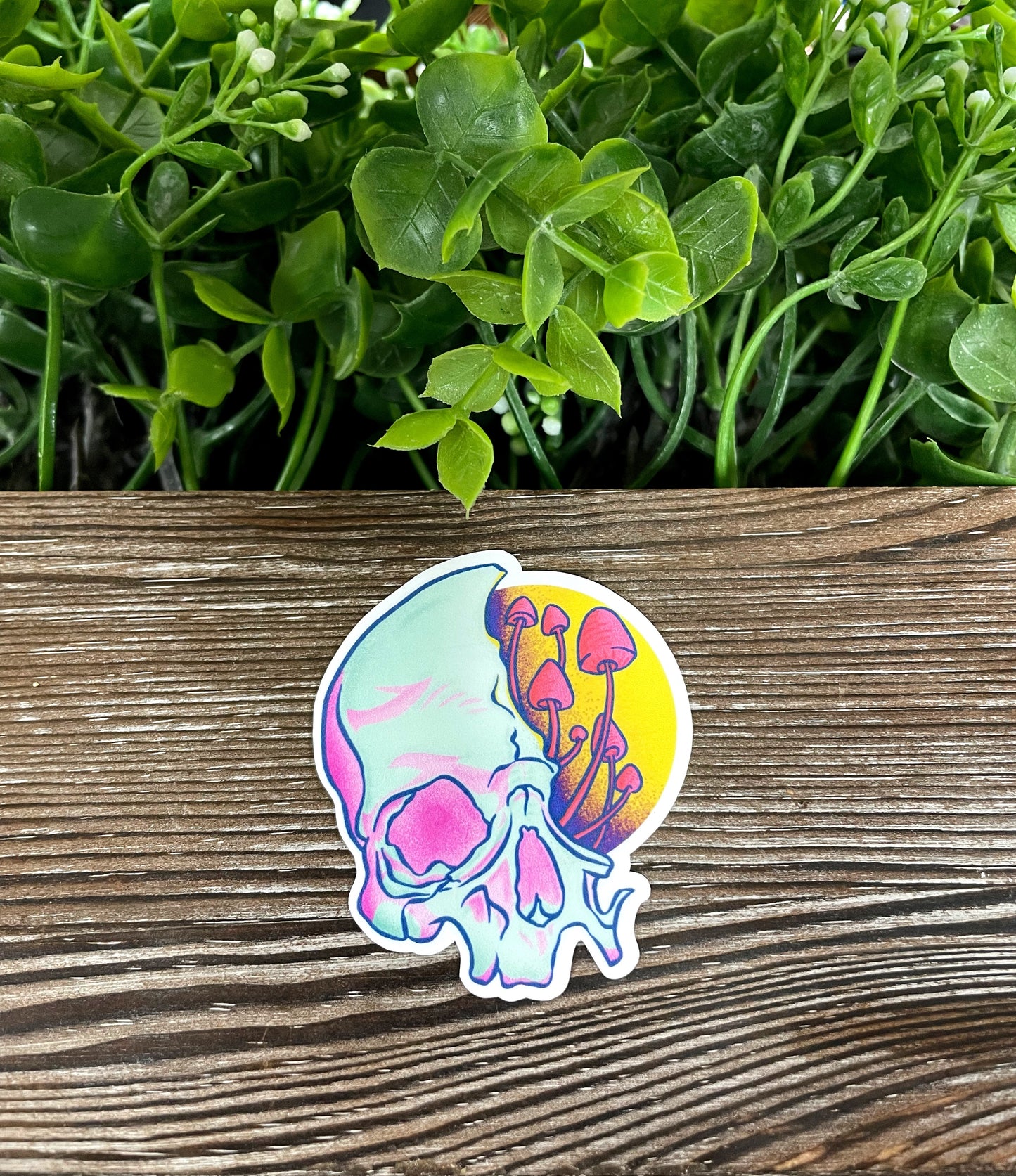 Partial Skull w/ Mushrooms, Die Cut Vinyl Sticker, Boho Fun, Water Resistant, Fungi Shrooms Toadstool, Blue and Purple |Sticker or Magnet