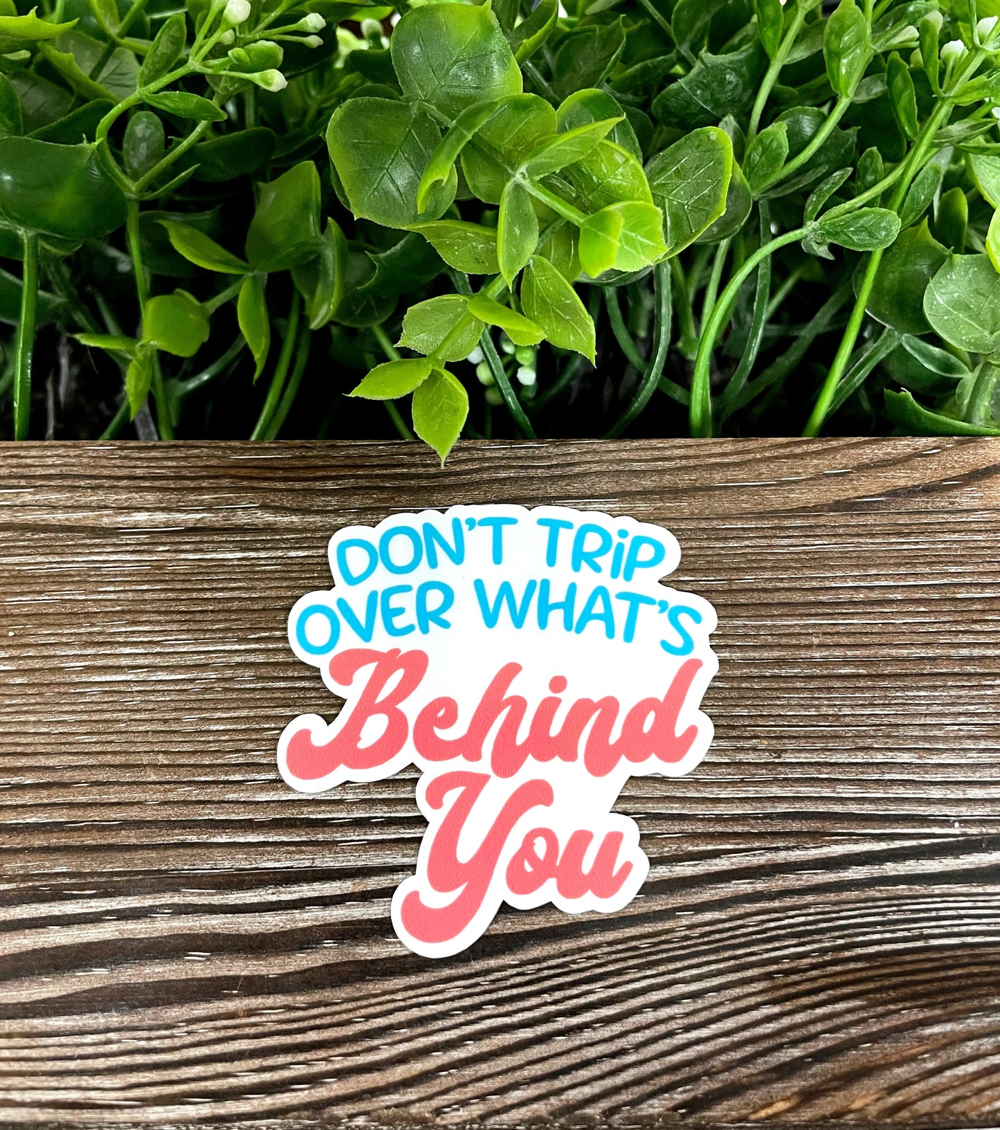 Don't Trip Over What's Behind You, Die Cut Vinyl Sticker, Boho Fun, Water Resistant, Snarky Sarcasm Witty Quote, Funny Saying |Sticker or Magnet