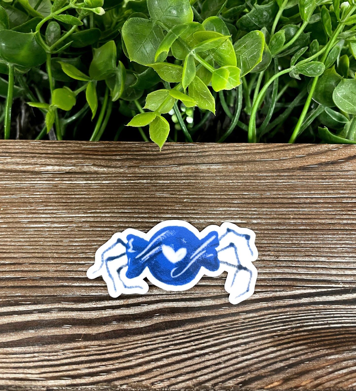 Spider Candy, Die Cut Vinyl Sticker, Boho Fun, Water Resistant, Spooky Halloween, Gothic Wedding |Sticker or Magnet