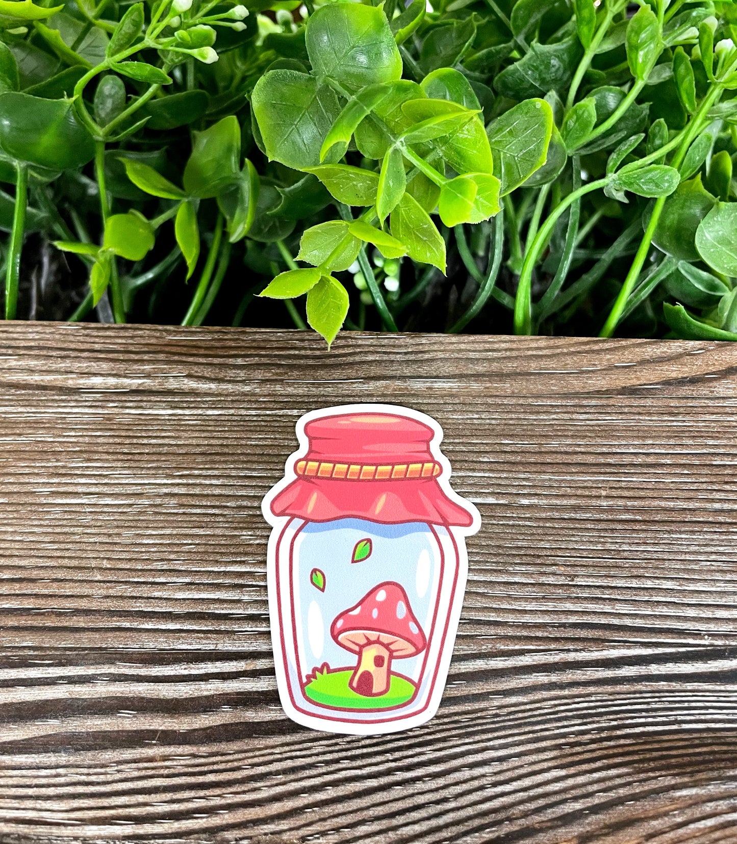 Mushroom in a Mason Jar, Die Cut Vinyl Sticker, Boho Fun, Water Resistant, Fungi Shrooms Toadstool |Sticker or Magnet