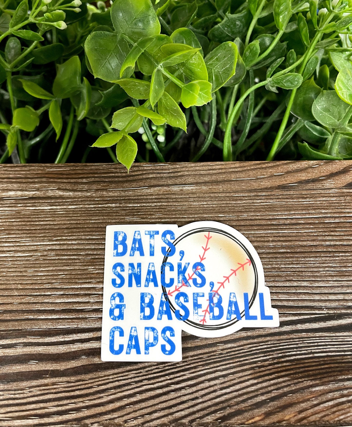 Bats Snack and Baseball Caps, Die Cut Vinyl Sticker, Boho Fun, Water Resistant, Baseball Softball, Sports Mom, Base Plate |Sticker or Magnet