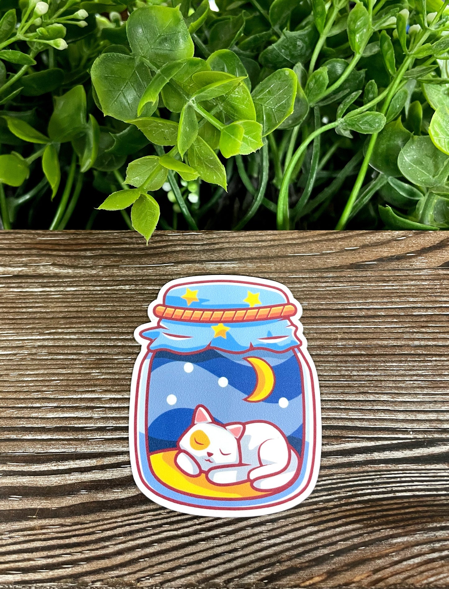 Sleeping Cat in a Mason Jar, Die Cut Vinyl Sticker, Boho Fun, Water Resistant, Night Sky Moon |Sticker or Magnet