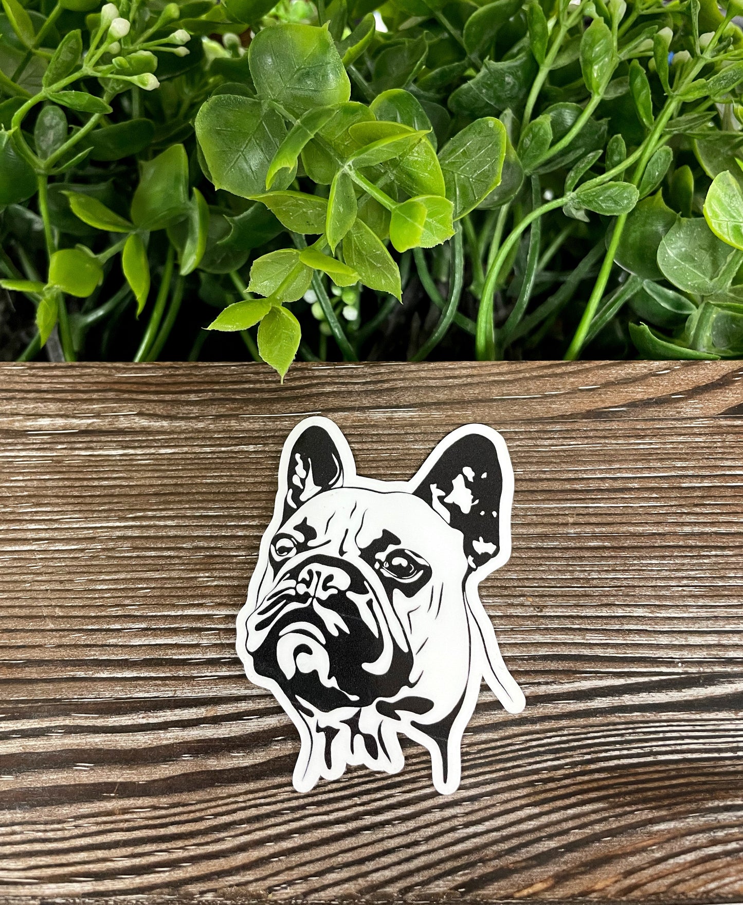 French Bulldog Sticker |Sticker or Magnet