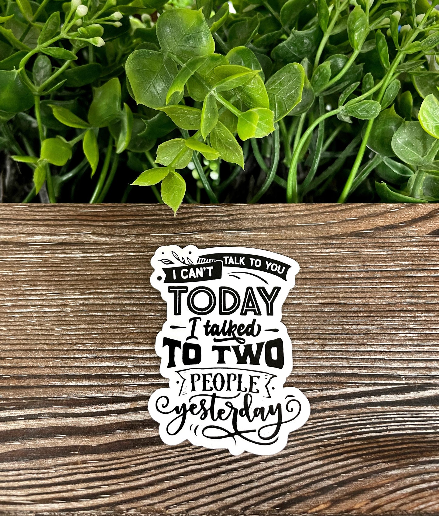 Introvert Sticker, Die Cut Vinyl Sticker, Boho Fun, Water Resistant, Snarky Sarcasm Witty Quote, Funny Saying |Sticker or Magnet