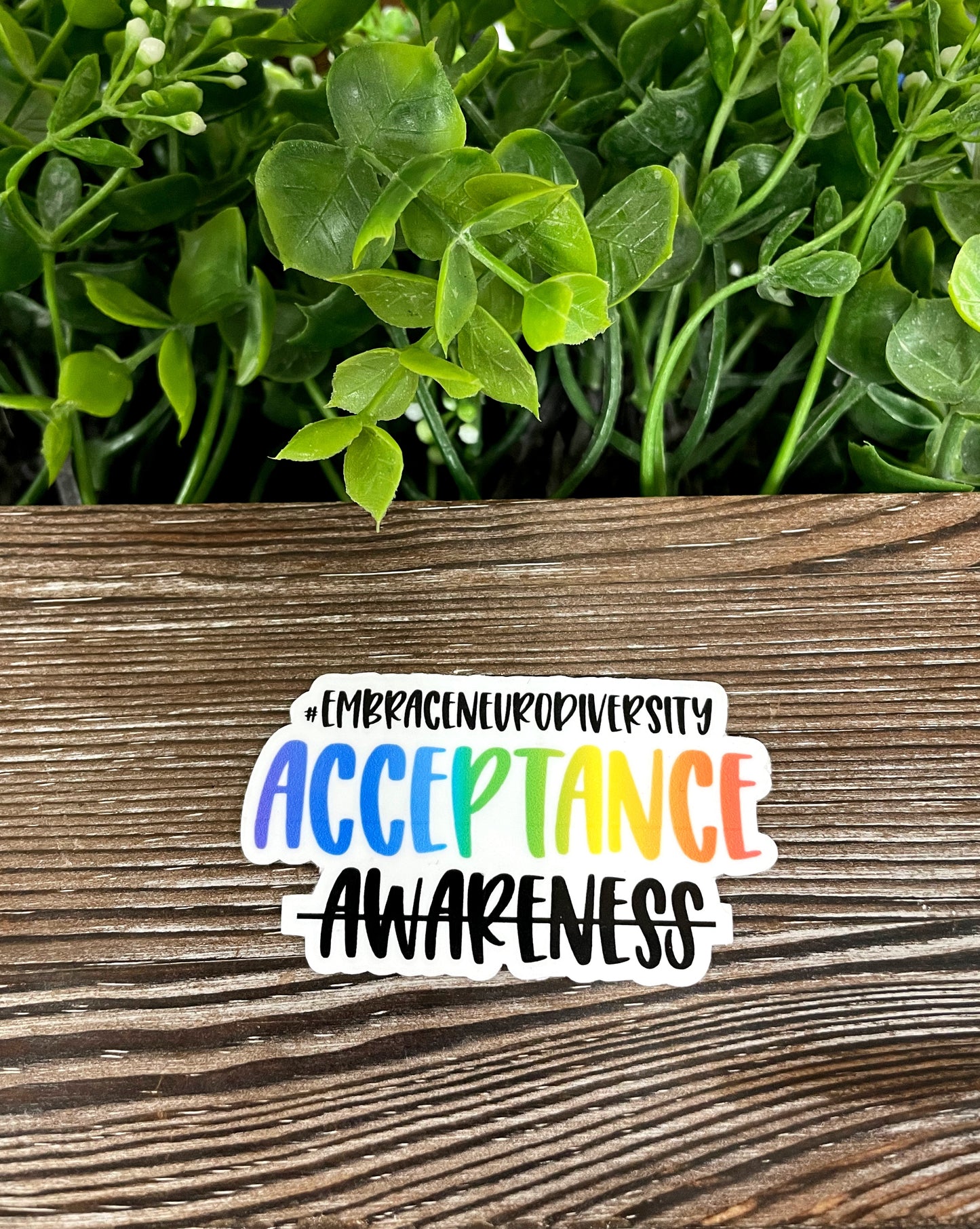 Embrace Neurodiversity Acceptance, Die Cut Vinyl Sticker, Boho Fun, Water Resistant, Human Rights Equality Women Support, Neurodivergent ADHD |Sticker or Magnet