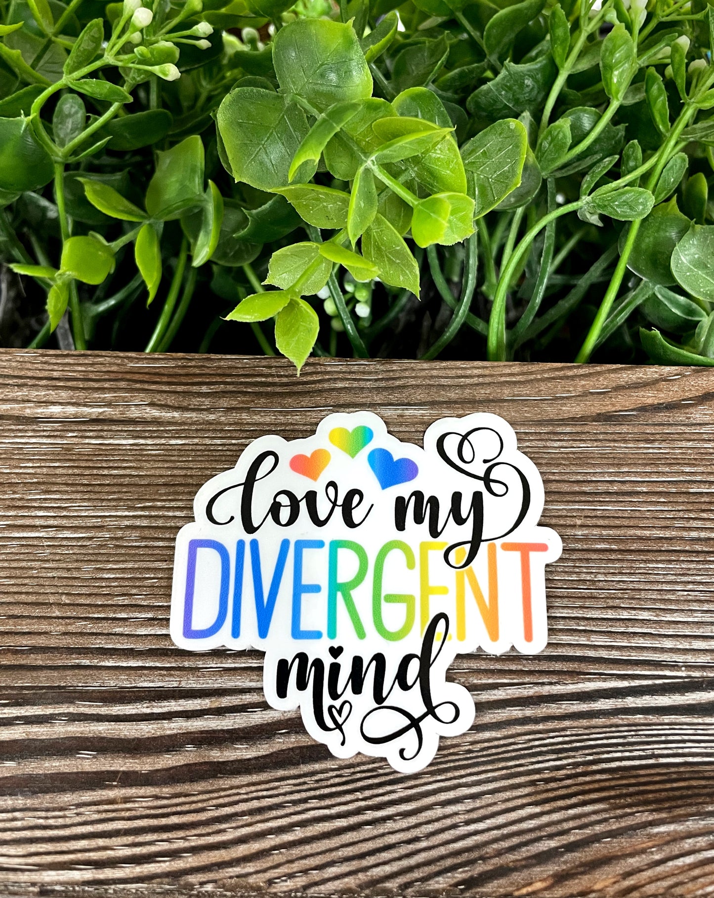 Love My Divergent Mind, Die Cut Vinyl Sticker, Boho Fun, Water Resistant, Human Rights Equality Women Support, Neurodivergent ADHD |Sticker or Magnet