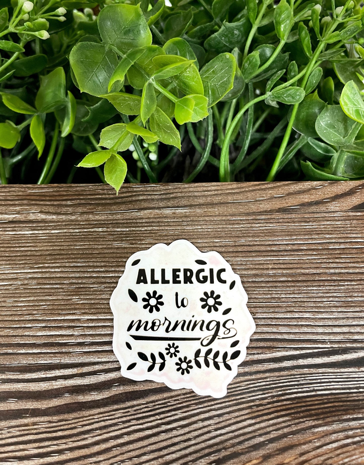 Allergic to Mornings, Die Cut Vinyl Sticker, Boho Fun, Water Resistant, Snarky Sarcasm Witty Quote, Funny Saying |Sticker or Magnet