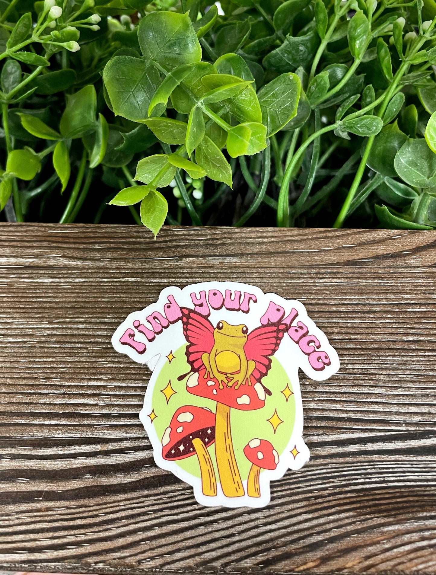 Find Your Place, Die Cut Vinyl Sticker, Frog Sitting on Mushroom, Boho Fun, Water Resistant, Fungi Shrooms Toadstool |Sticker or Magnet