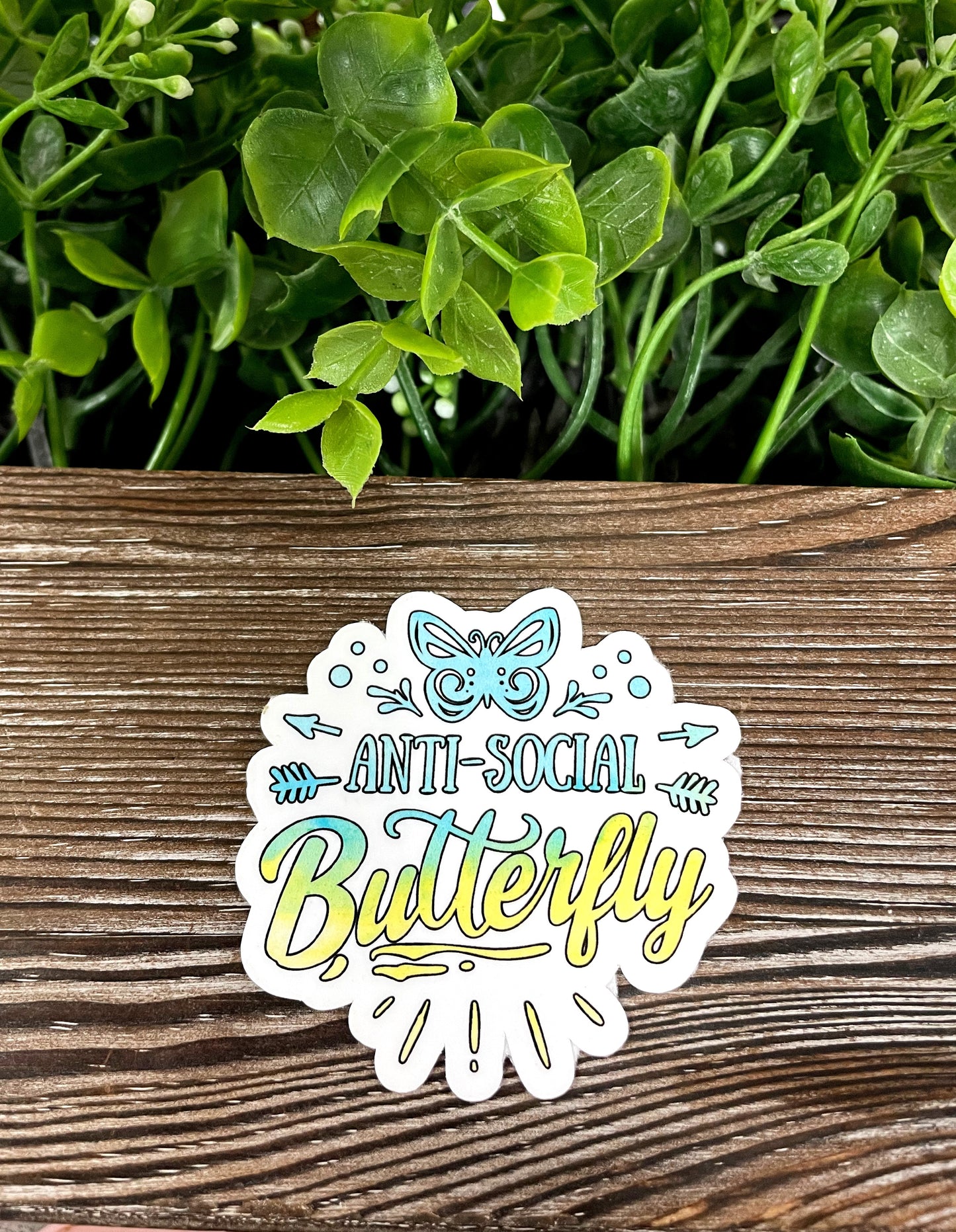 Anti-Social Butterfly Sticker |Sticker or Magnet