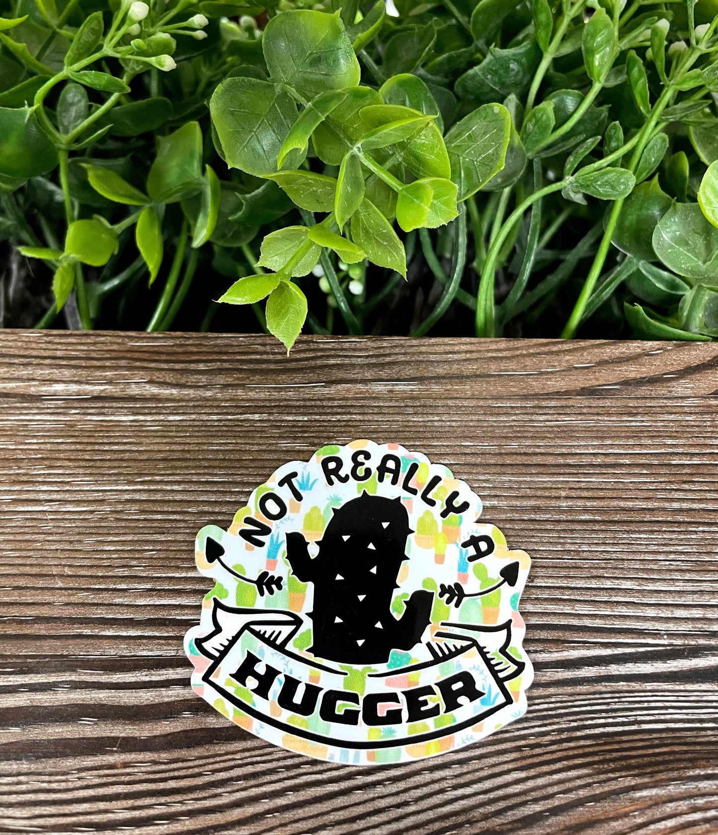 Not Really A Hugger Cactus Sticker |Sticker or Magnet