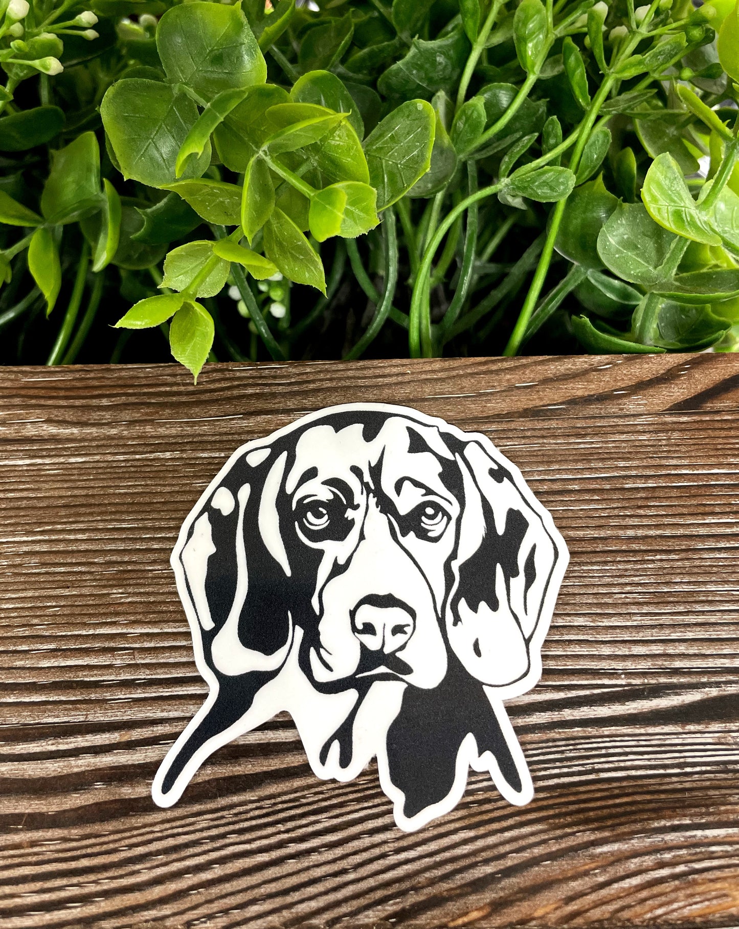 Beagle Sticker |Sticker or Magnet