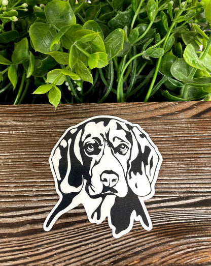 Beagle Sticker |Sticker or Magnet