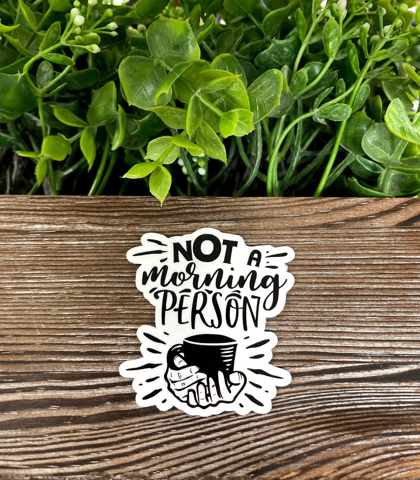 Not a Morning Person, Die Cut Vinyl Sticker, Boho Fun, Water Resistant, Snarky Sarcasm Witty Quote, Funny Saying |Sticker or Magnet