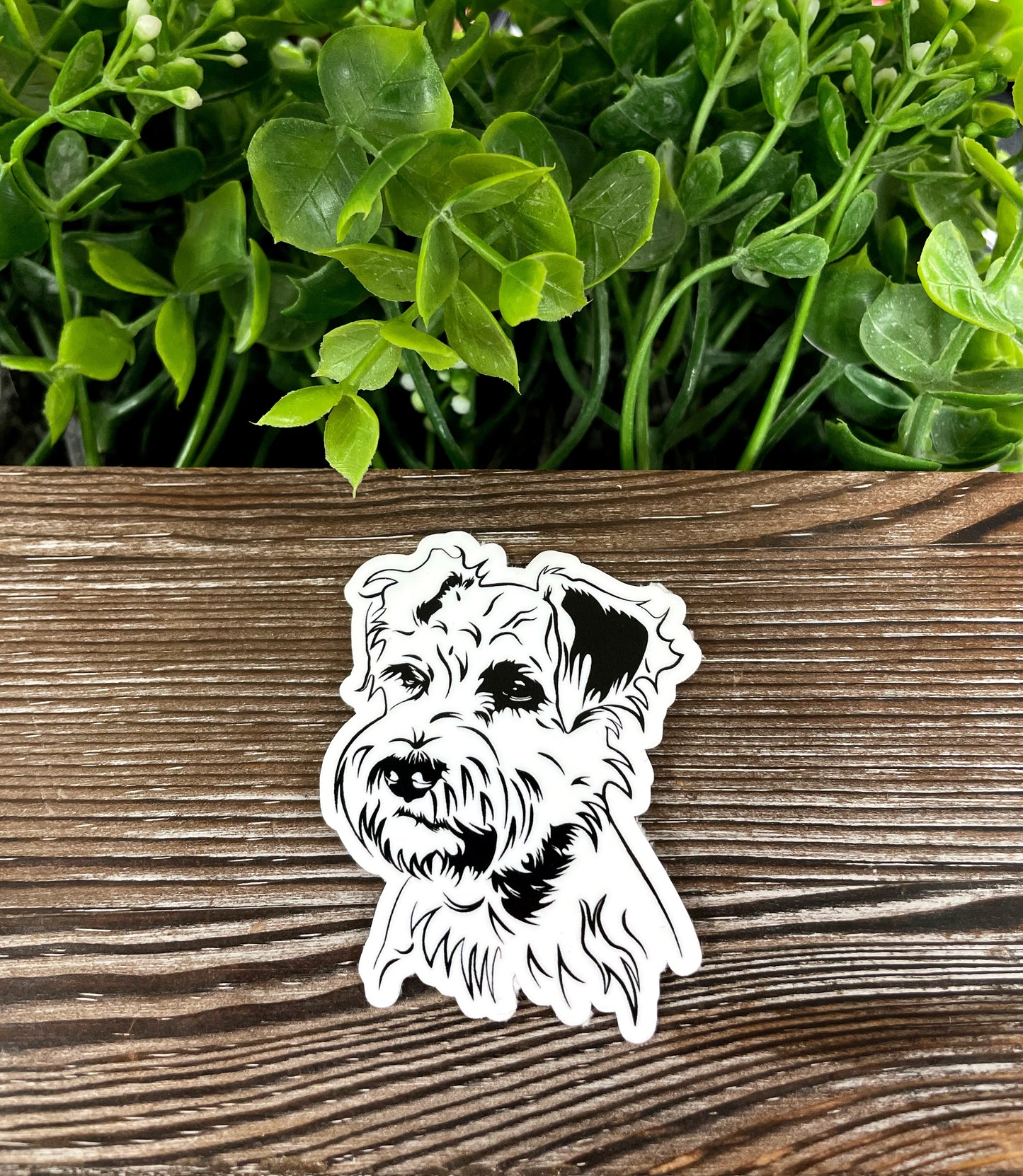 Miniature Schnauzer Sticker |Sticker or Magnet