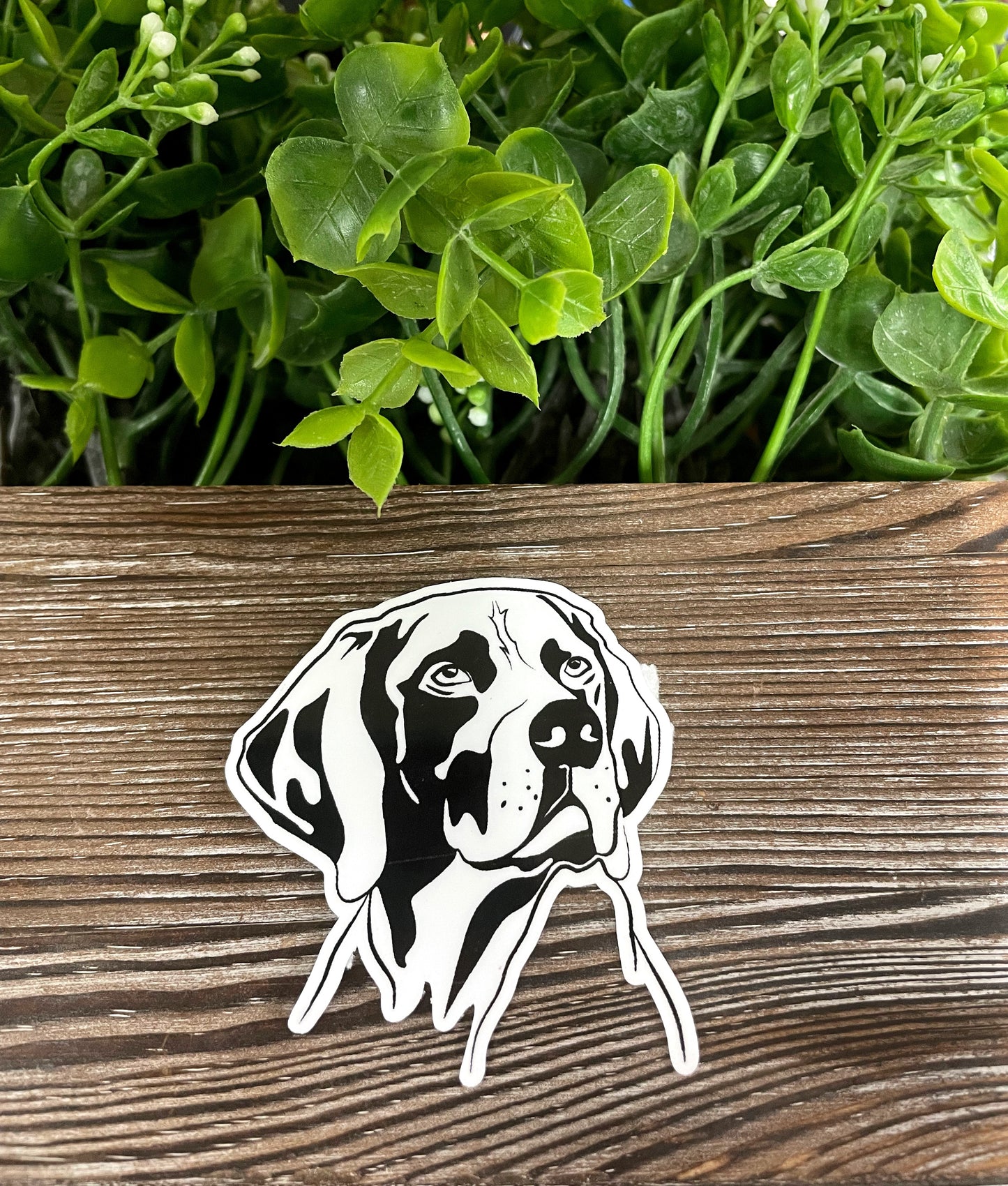 German Shorthaired Pointer Dog Sticker |Sticker or Magnet