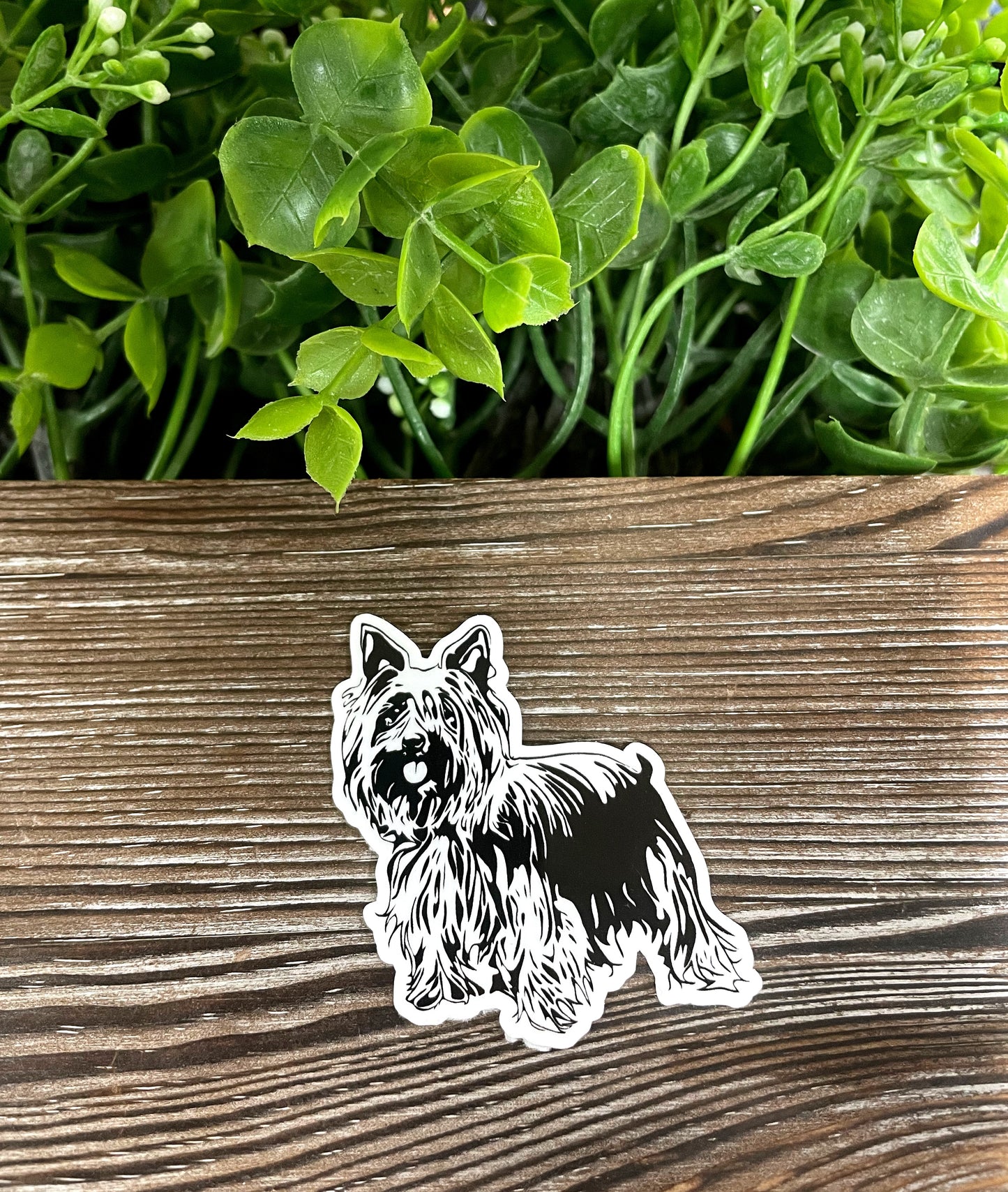 Yorkshire Terrier Sticker, Die Cut Vinyl Sticker, Boho Fun, Water Resistant, Dog Mom Animal Lover, Pet Breed |Sticker or Magnet