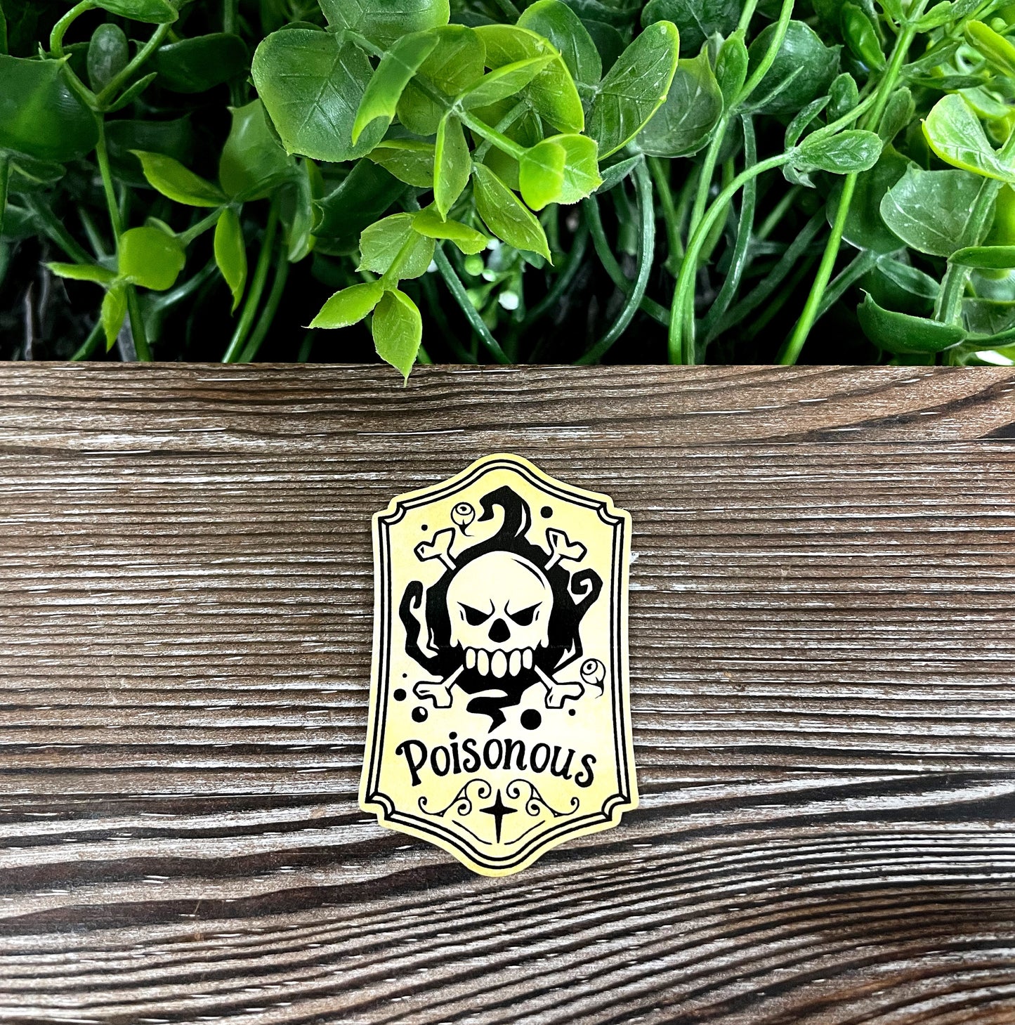 Poisonous Skull and Crossbones, Die Cut Vinyl Sticker, Boho Fun, Water Resistant, Halloween Spooky Bottle Label |Sticker or Magnet
