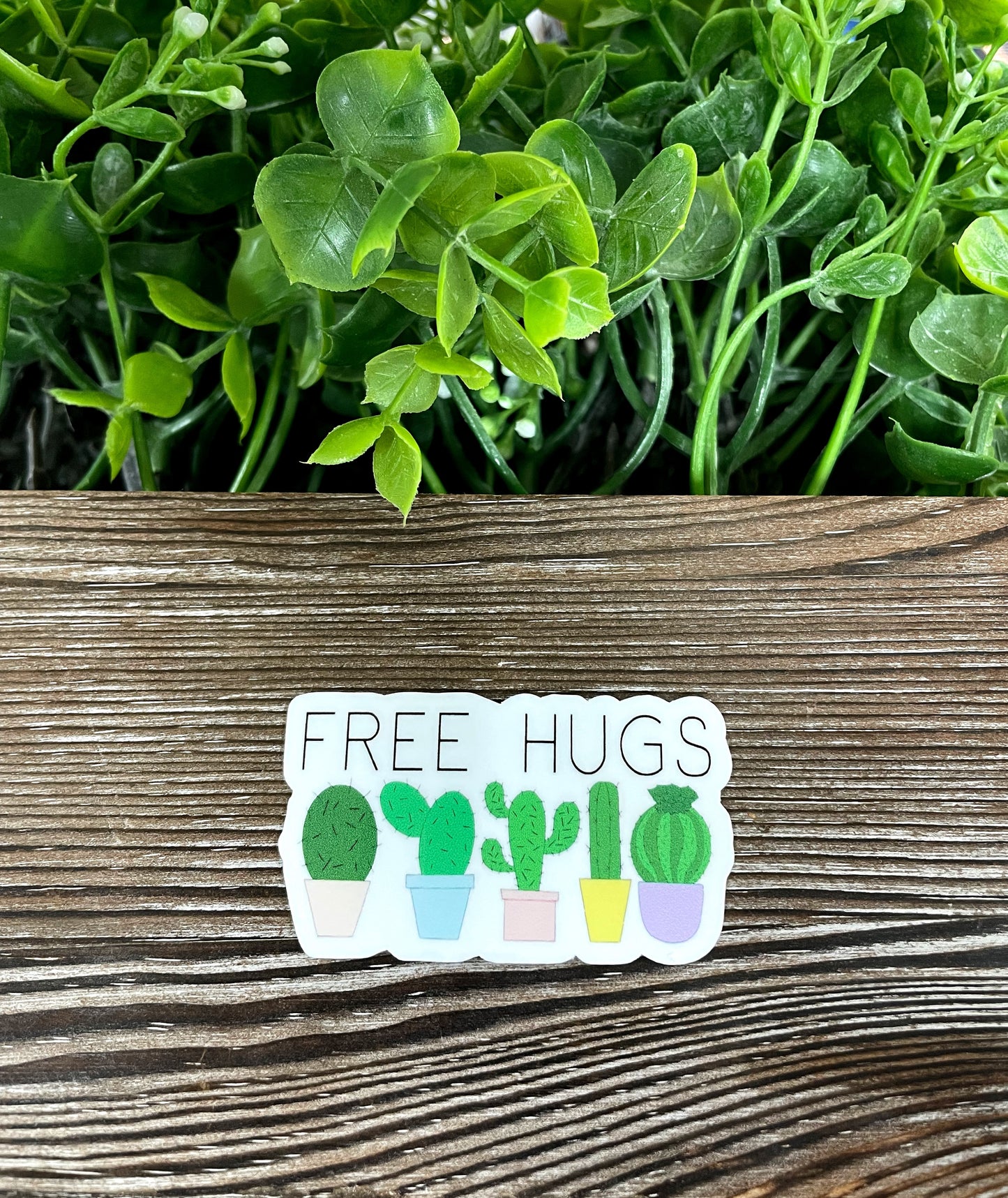 Free Hugs, Die Cut Vinyl Sticker, Boho Fun, Water Resistant, Aloe Vera Succulents Cactus Prickly |Sticker or Magnet