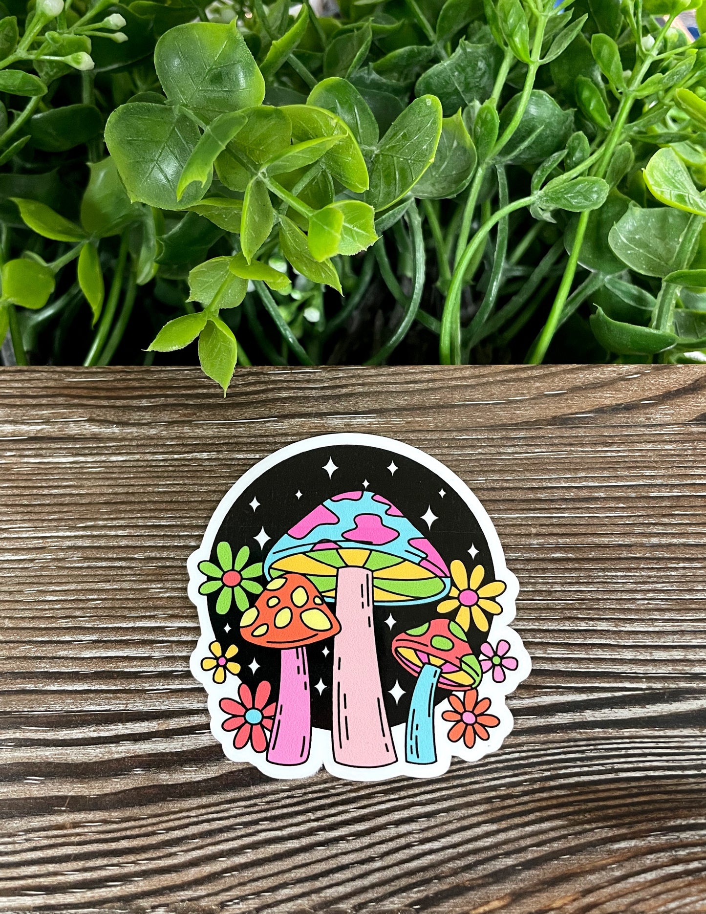 Colorful Mushrooms Sticker |Sticker or Magnet