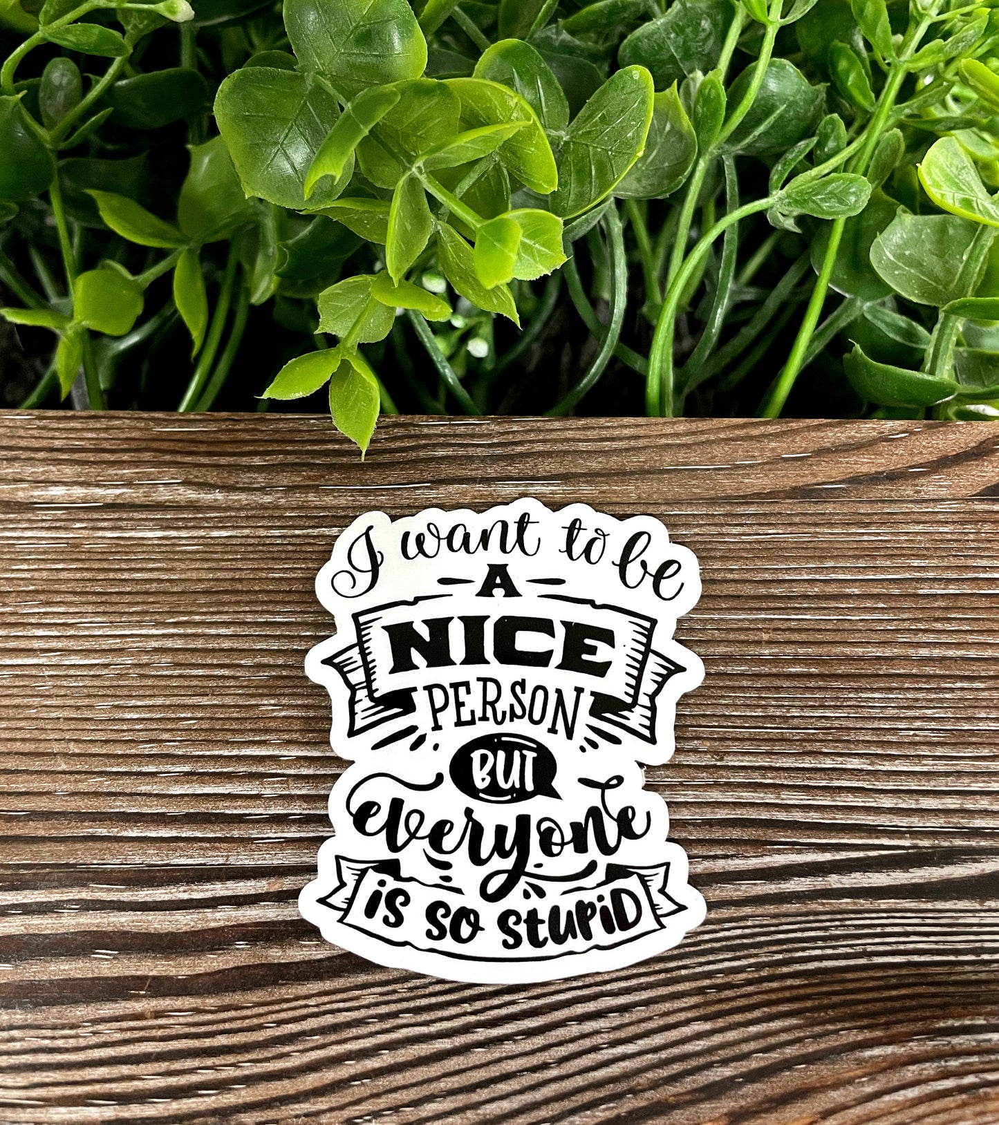 I Want to be a Nice Person but Everyone is so Stupid Sticker |Sticker or Magnet