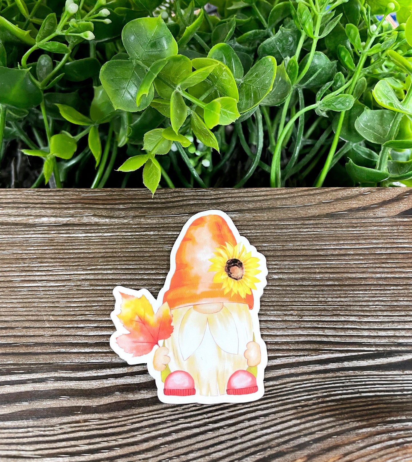 Fall Gnome Sunflower and Maple Leaf, Die Cut Vinyl Sticker, Boho Fun, Water Resistant, Fall Season Orange Autumn |Sticker or Magnet