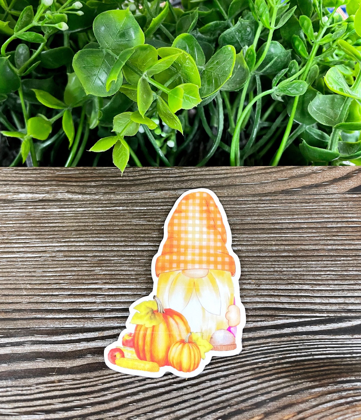Fall Gnome w/ Pumpkins, Die Cut Vinyl Sticker, Boho Fun, Water Resistant, Fall Season Orange Autumn |Sticker or Magnet