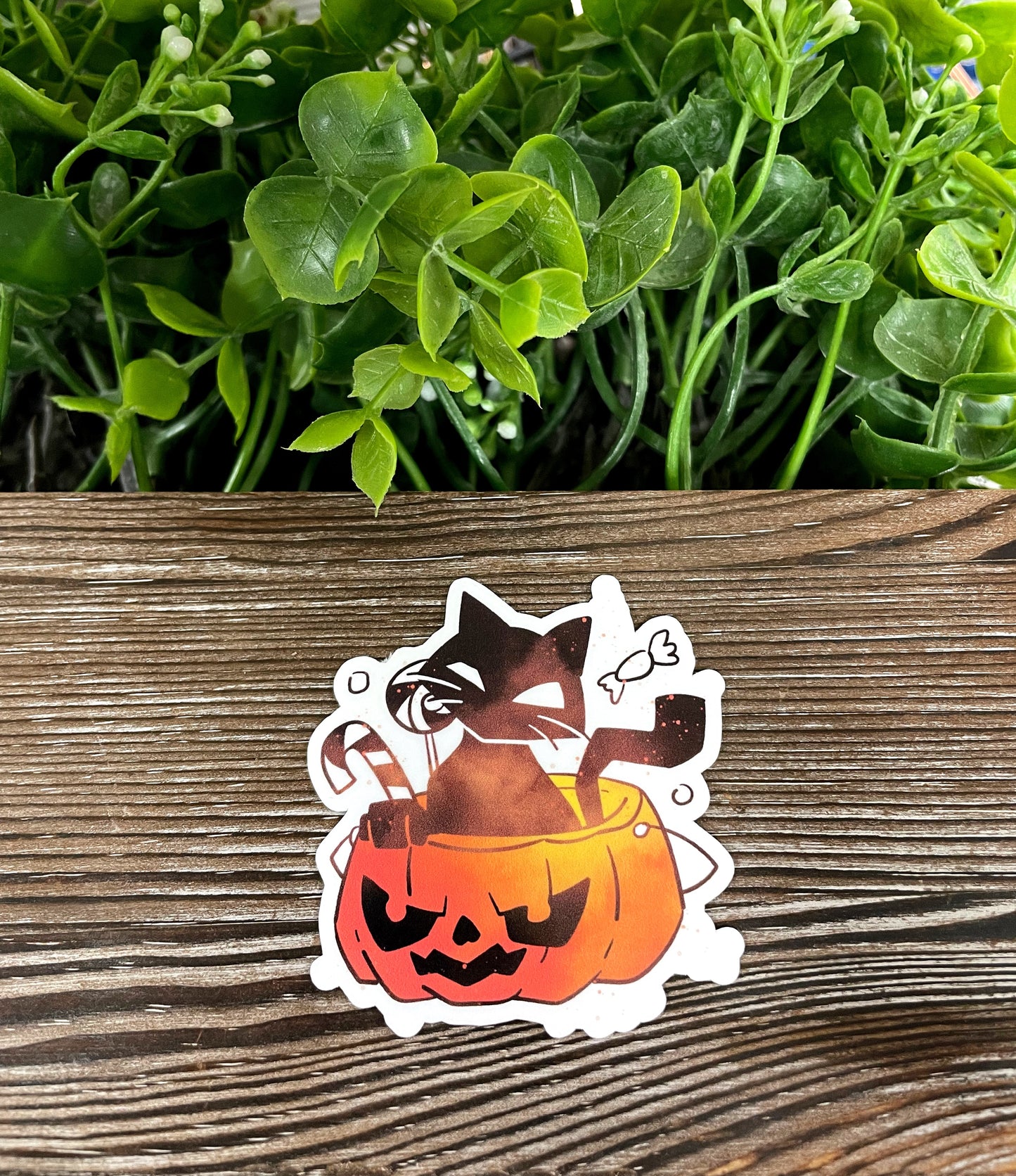Halloween Black Cat in Pumpkin Bucket of Candy, Die Cut Vinyl Sticker, Boho Fun, Water Resistant, Spooky |Sticker or Magnet