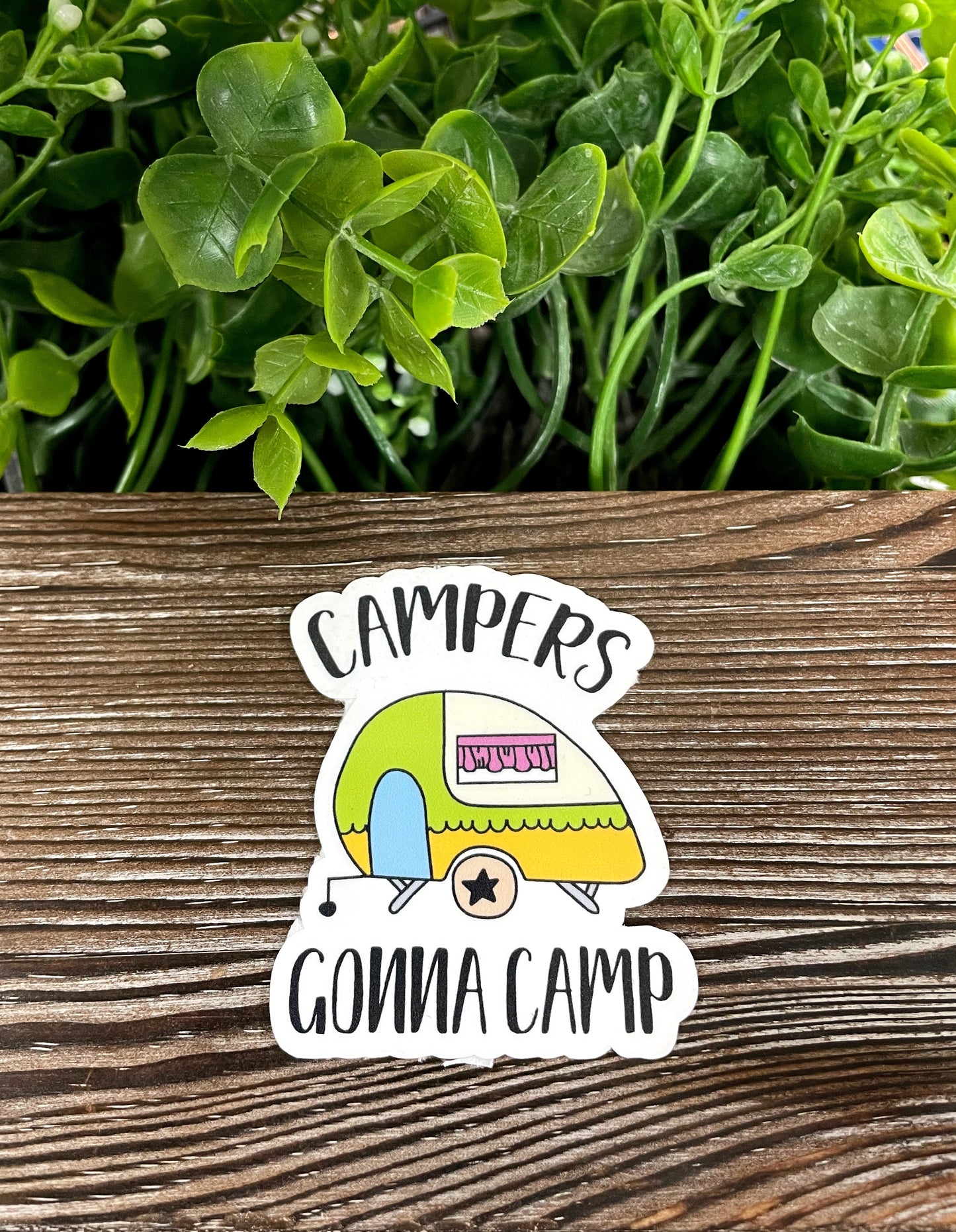 Campers Gonna Camp, Die Cut Vinyl Sticker, Boho Fun, Water Resistant, Outdoor Life RV Camper |Sticker or Magnet