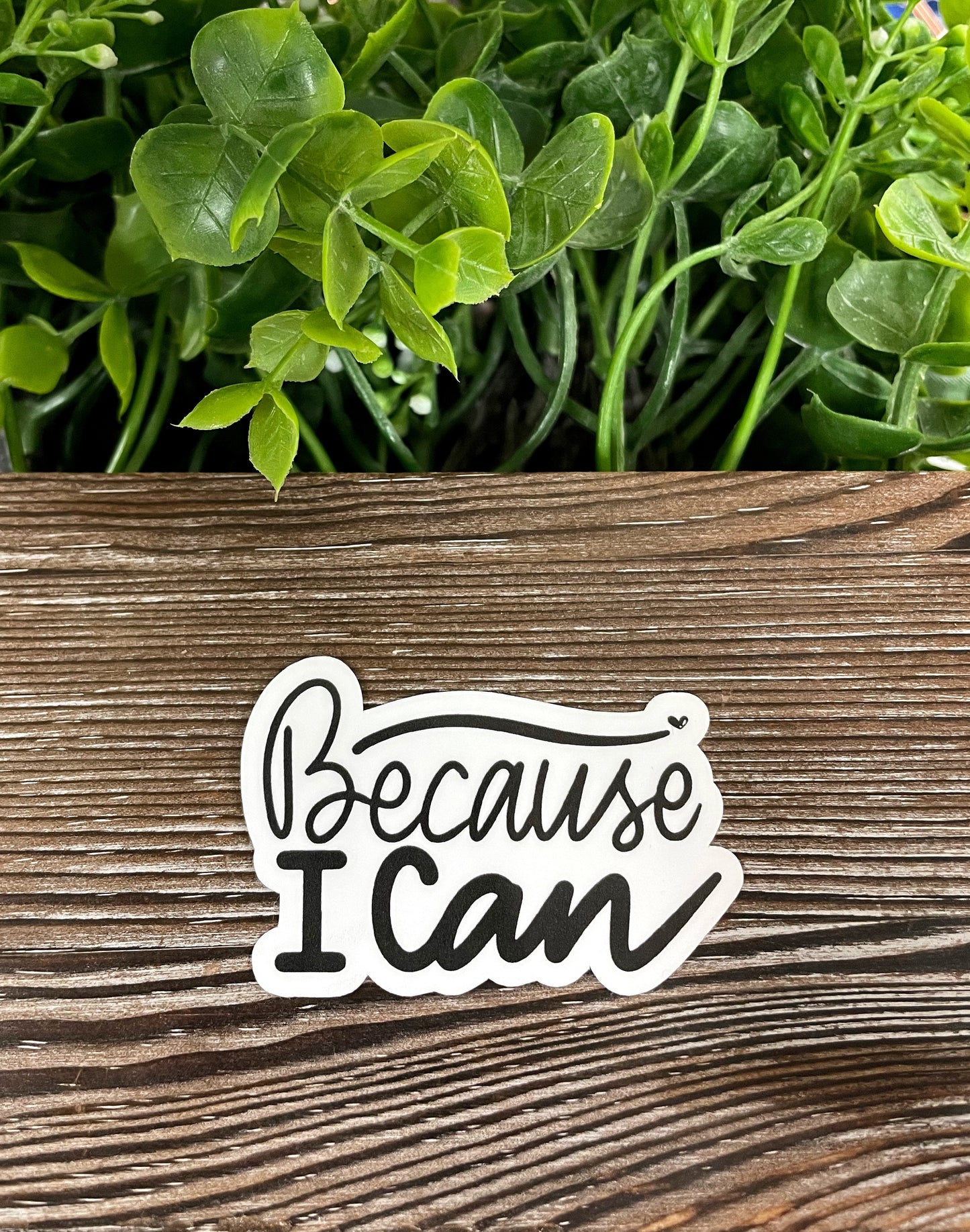 Because I Can Sticker |Sticker or Magnet