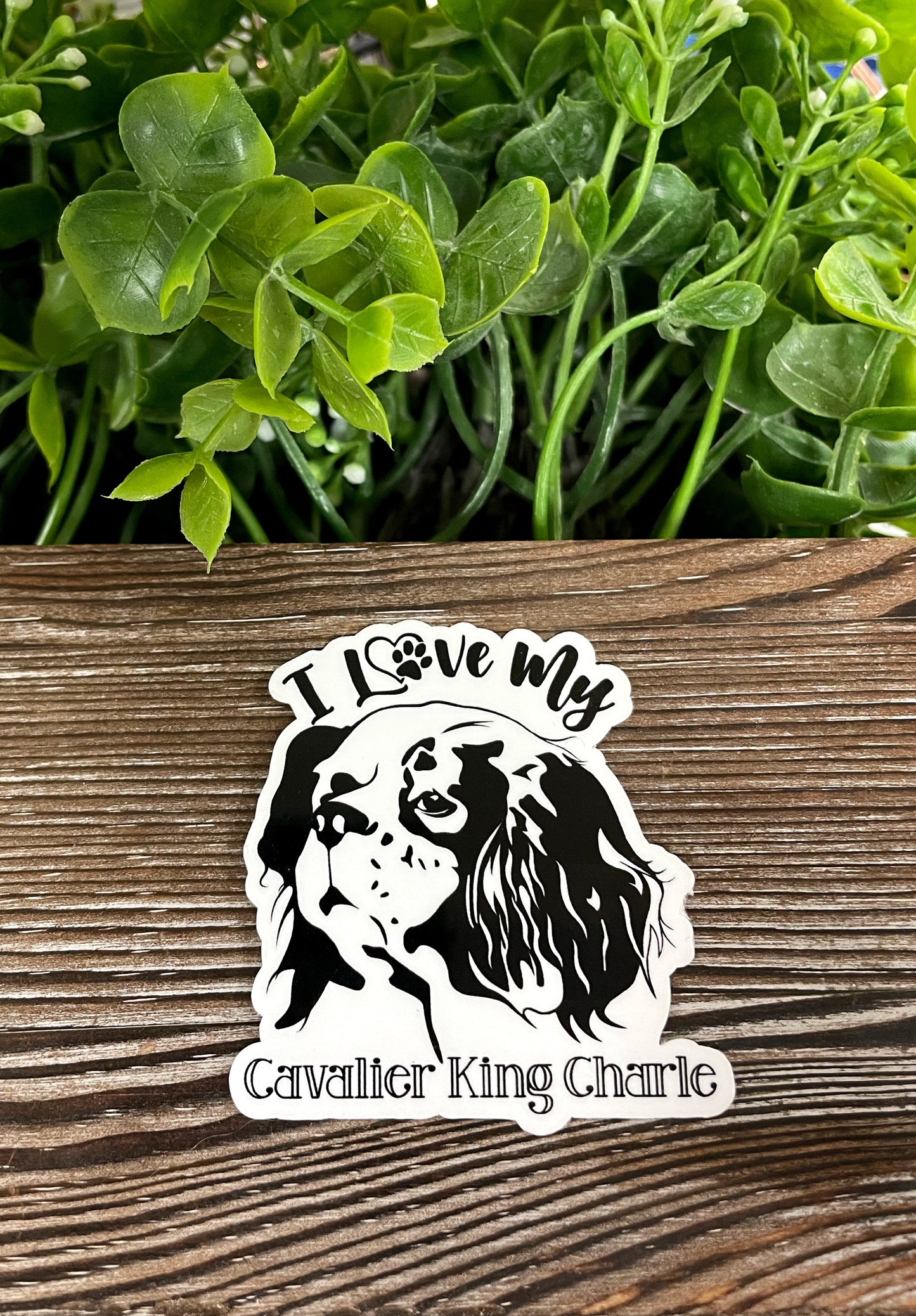 I Love my Cavalier King Charles Sticker, Dog Breed |Sticker or Magnet