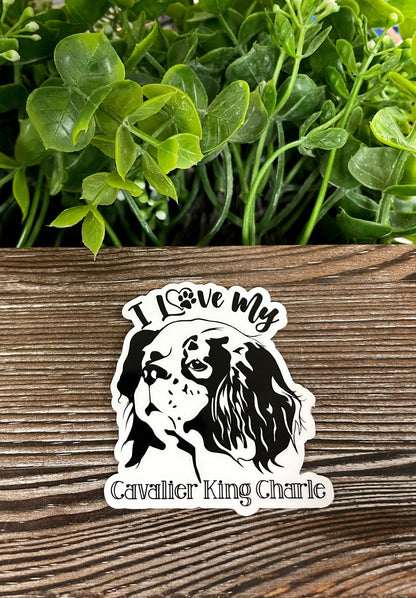 I Love my Cavalier King Charles Sticker, Dog Breed |Sticker or Magnet