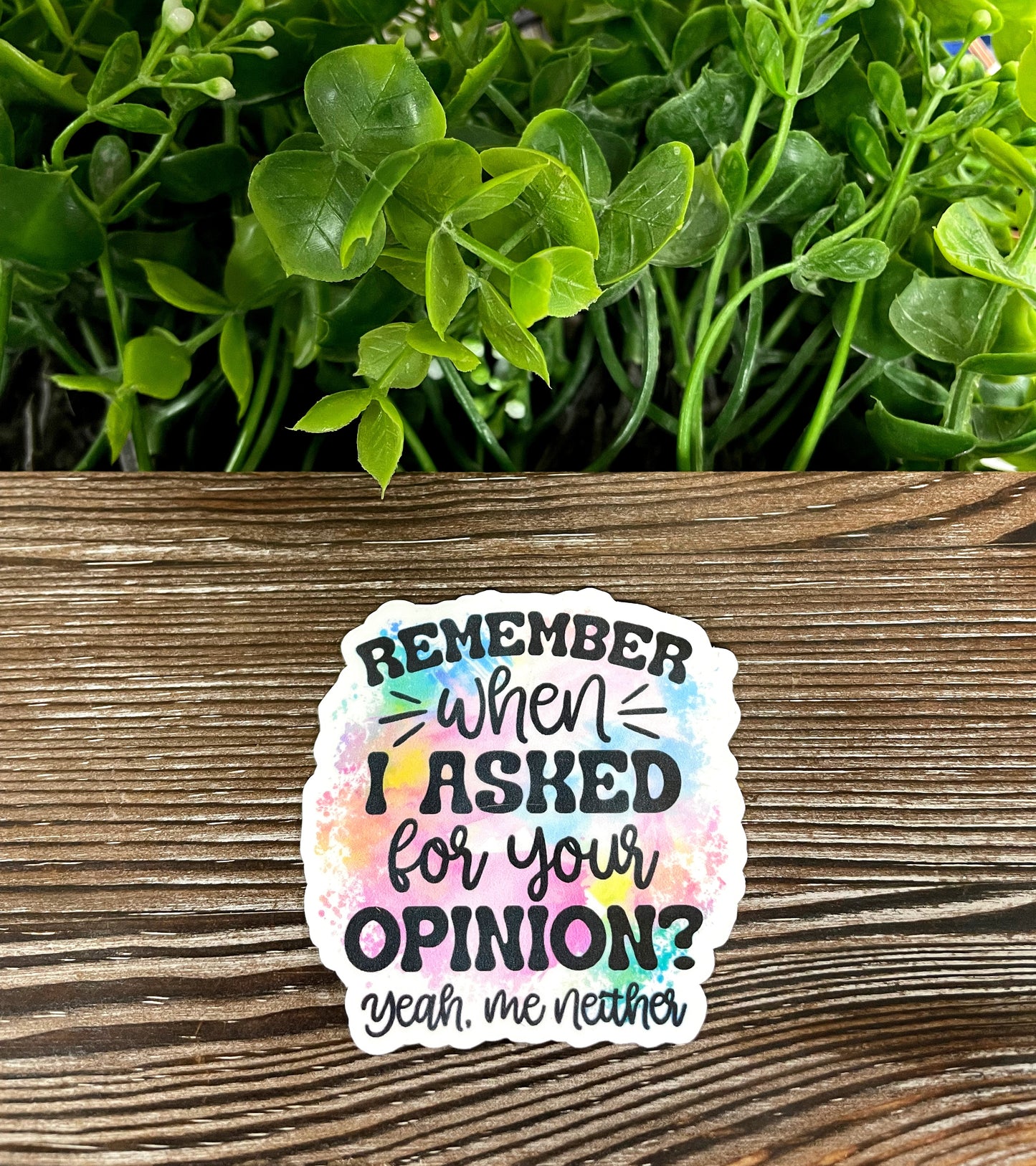 Remember When I Asked Your Opinion Yeah Me Neither, Die Cut Vinyl Sticker, Boho Fun, Water Resistant, Snarky Sarcasm Witty Quote, Funny Saying |Sticker or Magnet