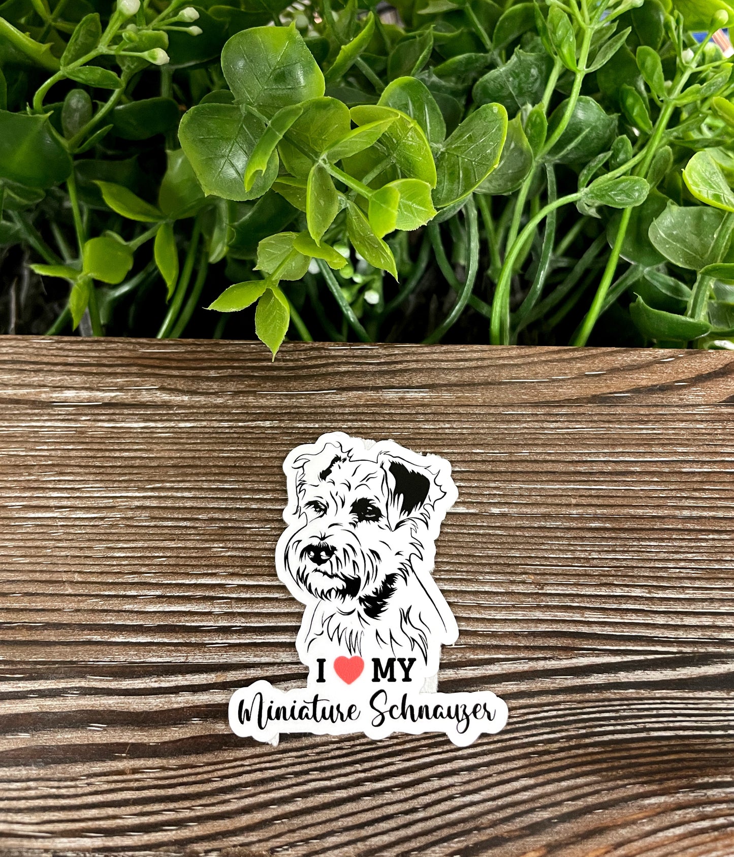 I Love my Miniature Schnauzer Sticker, Dog Breed |Sticker or Magnet