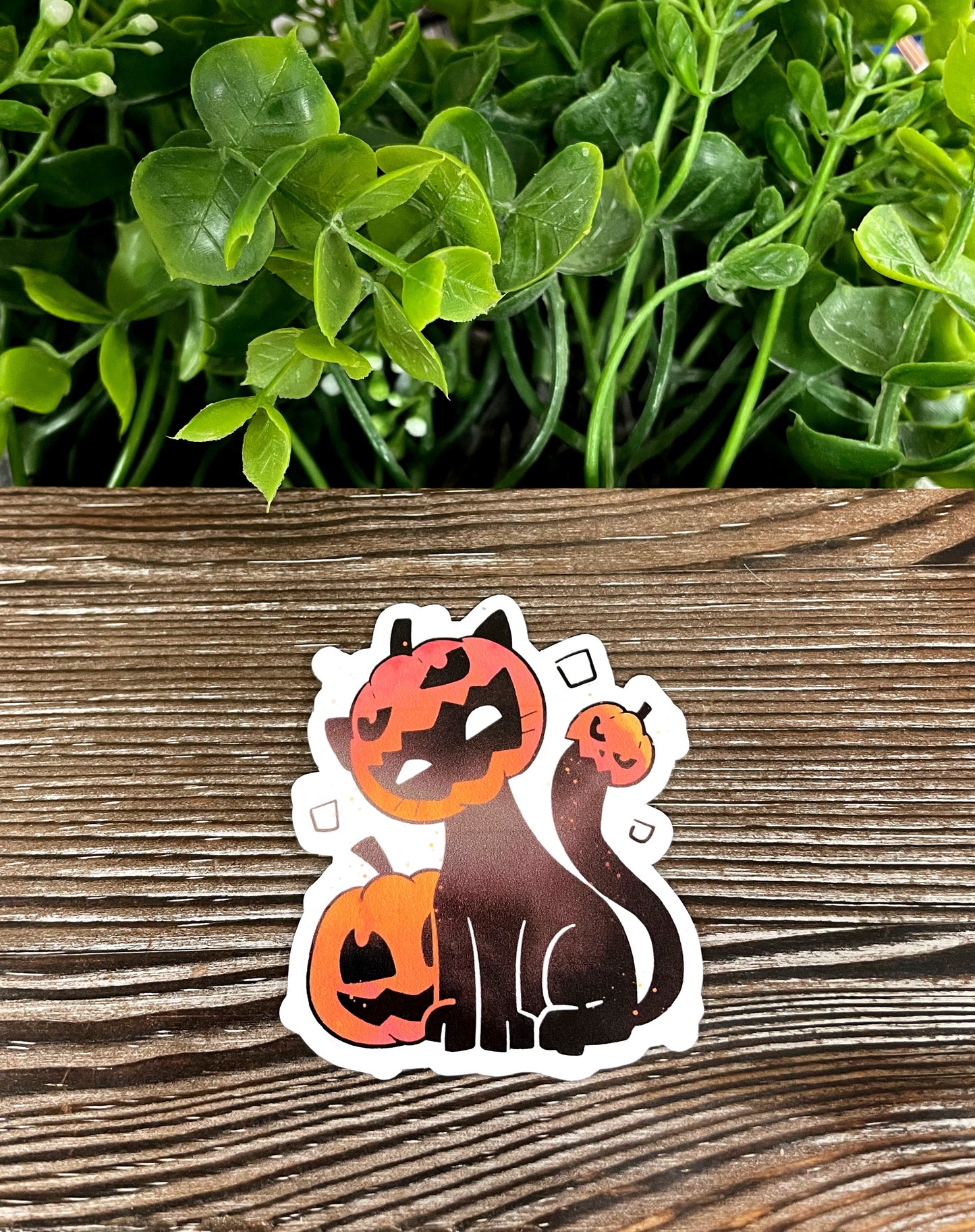 Halloween Black Kitty Wearing a Pumpkin, Die Cut Vinyl Sticker, Boho Fun, Water Resistant, Spooky |Sticker or Magnet