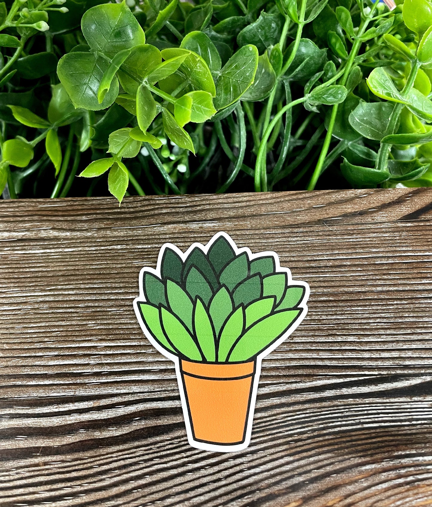 Plants in a Pot, Die Cut Vinyl Sticker, Boho Fun, Water Resistant, Aloe Vera |Sticker or Magnet
