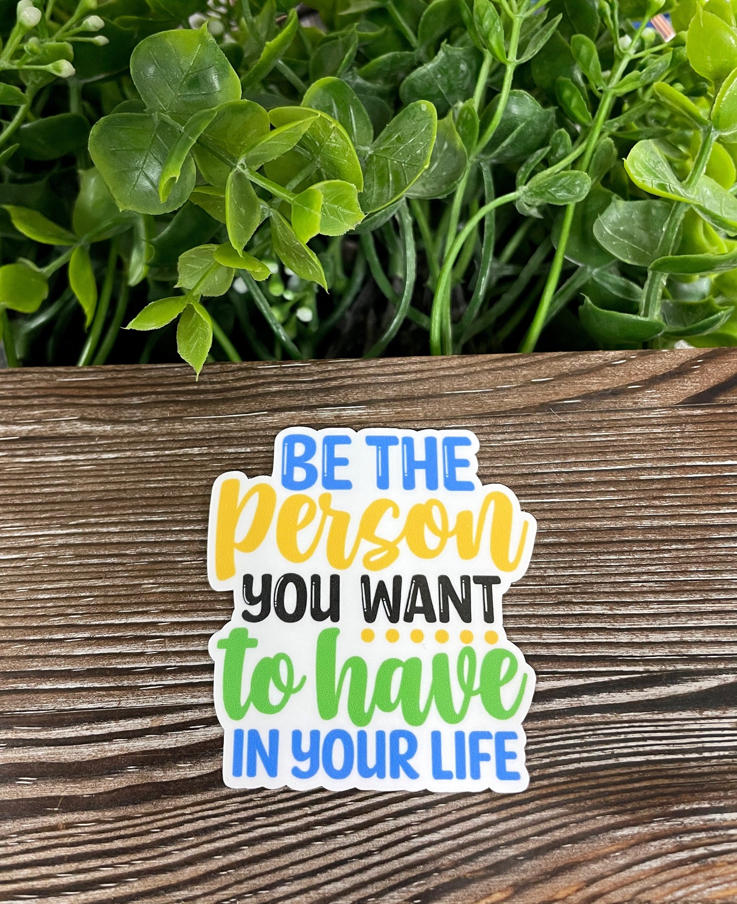 Be The Person You Want to Have in Your Life, Die Cut Vinyl Sticker, Boho Fun, Water Resistant, Motivational Positivity |Sticker or Magnet